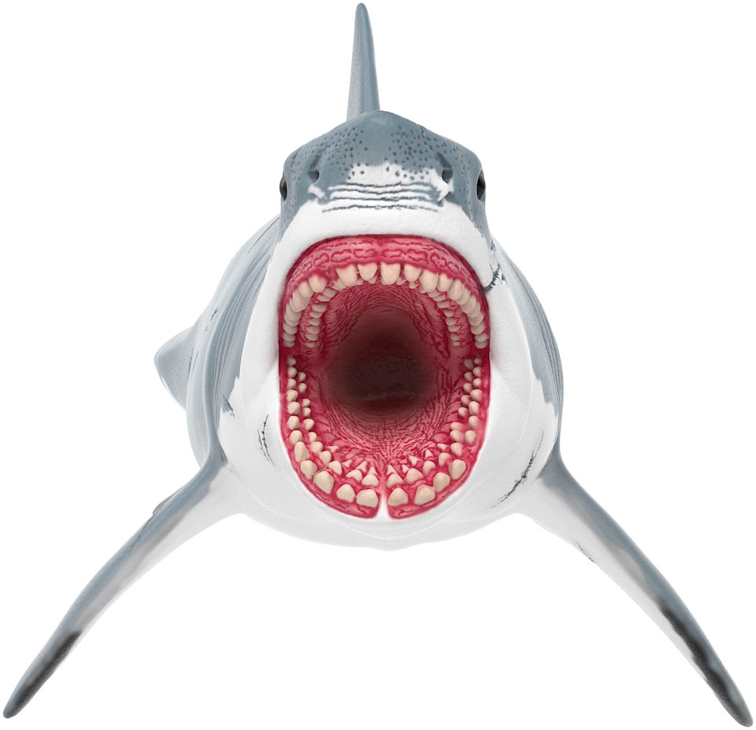 Schleich® Spielfigur »DINOSAURS, Megalodon  (15055)«