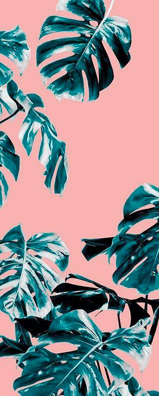 Image of Komar Vliestapete "Digitaldruck Vlies - Monstera Rosé Panel - Grösse 100 x 250 cm" bedruckt glatt Wohnzimmer, Schlafzimmer