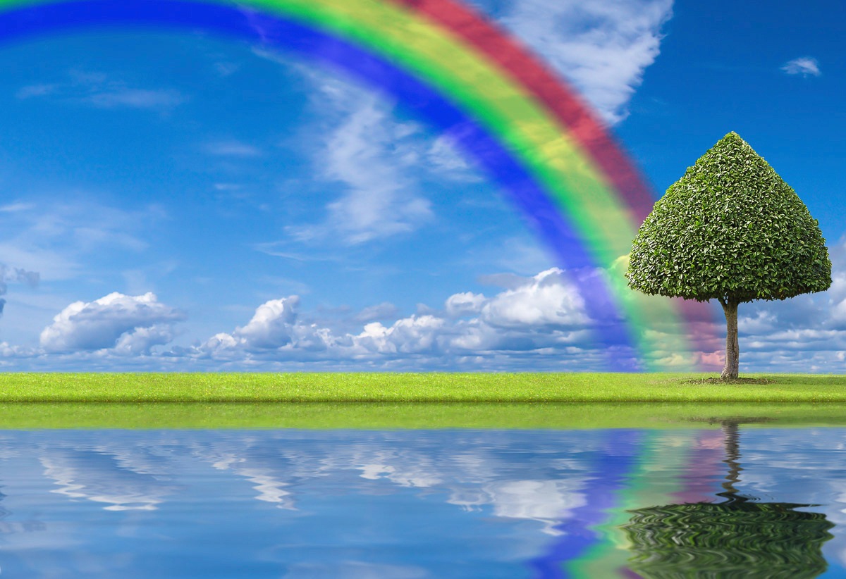 Image of Papermoon Fototapete »regenbogen Wiese«, Vliestapete, hochwertiger Digitaldruck, inklusive Kleister bei Ackermann Versand Schweiz