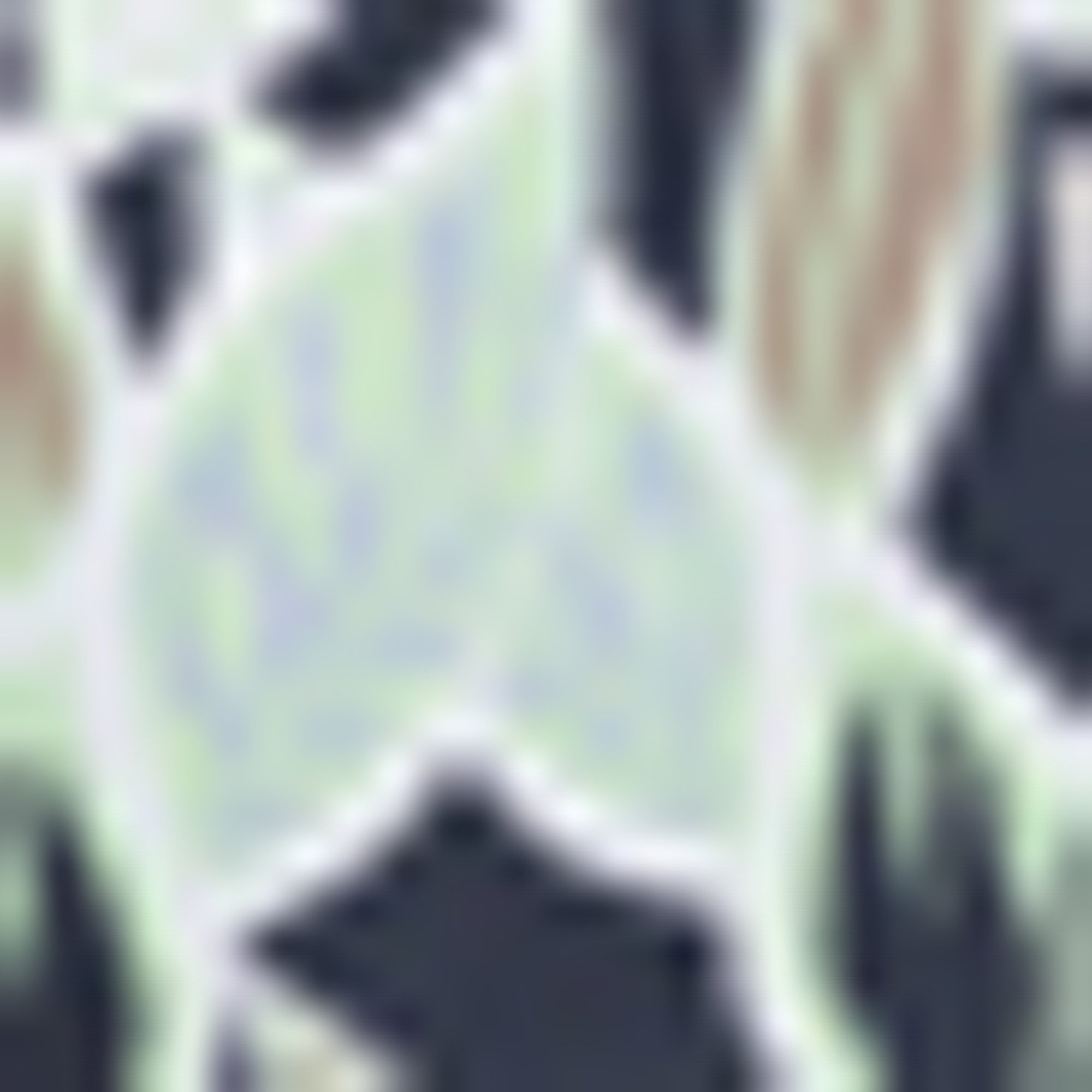 HUGO Underwear Badeshorts »CALALA« mit tropischen Muster