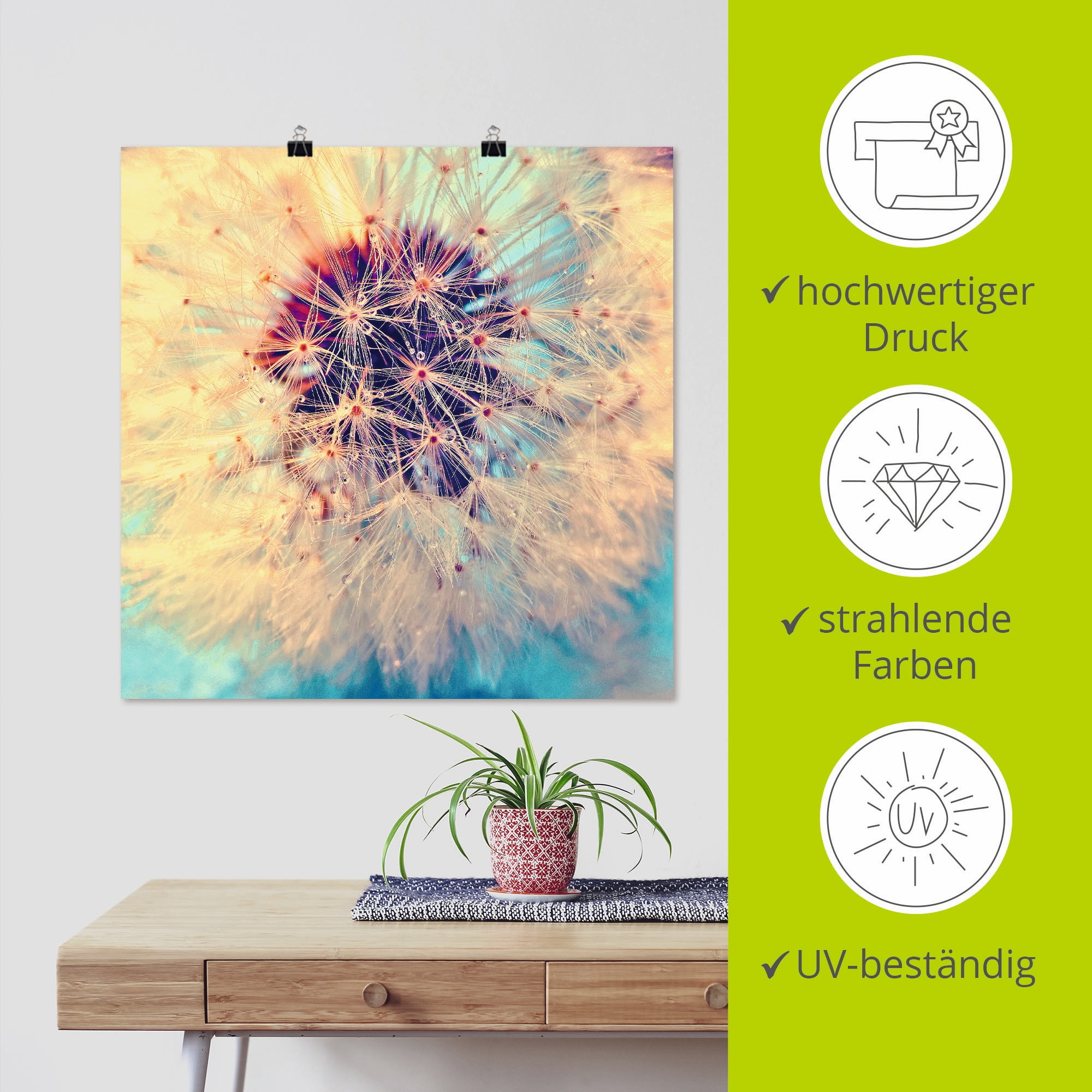 Artland Wandbild »Pusteblume ganz nah« Blumen 1 Stk. tlg. als Alubild, Leinwandbild, Poster in verschied. Grössen