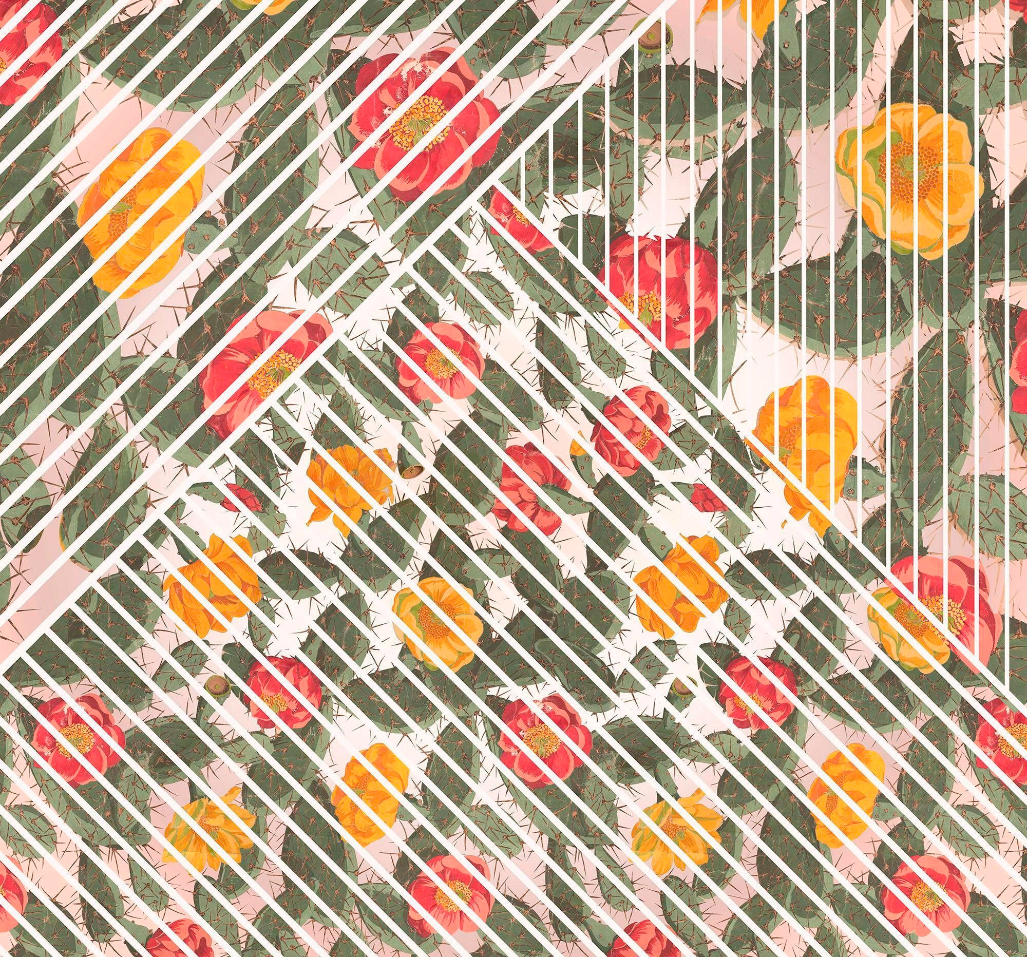 Image of Komar Vliestapete "Digitaldruck Vlies - Cactus - Grösse 300 x 280 cm" bedruckt glatt Wohnzimmer, Schlafzimmer