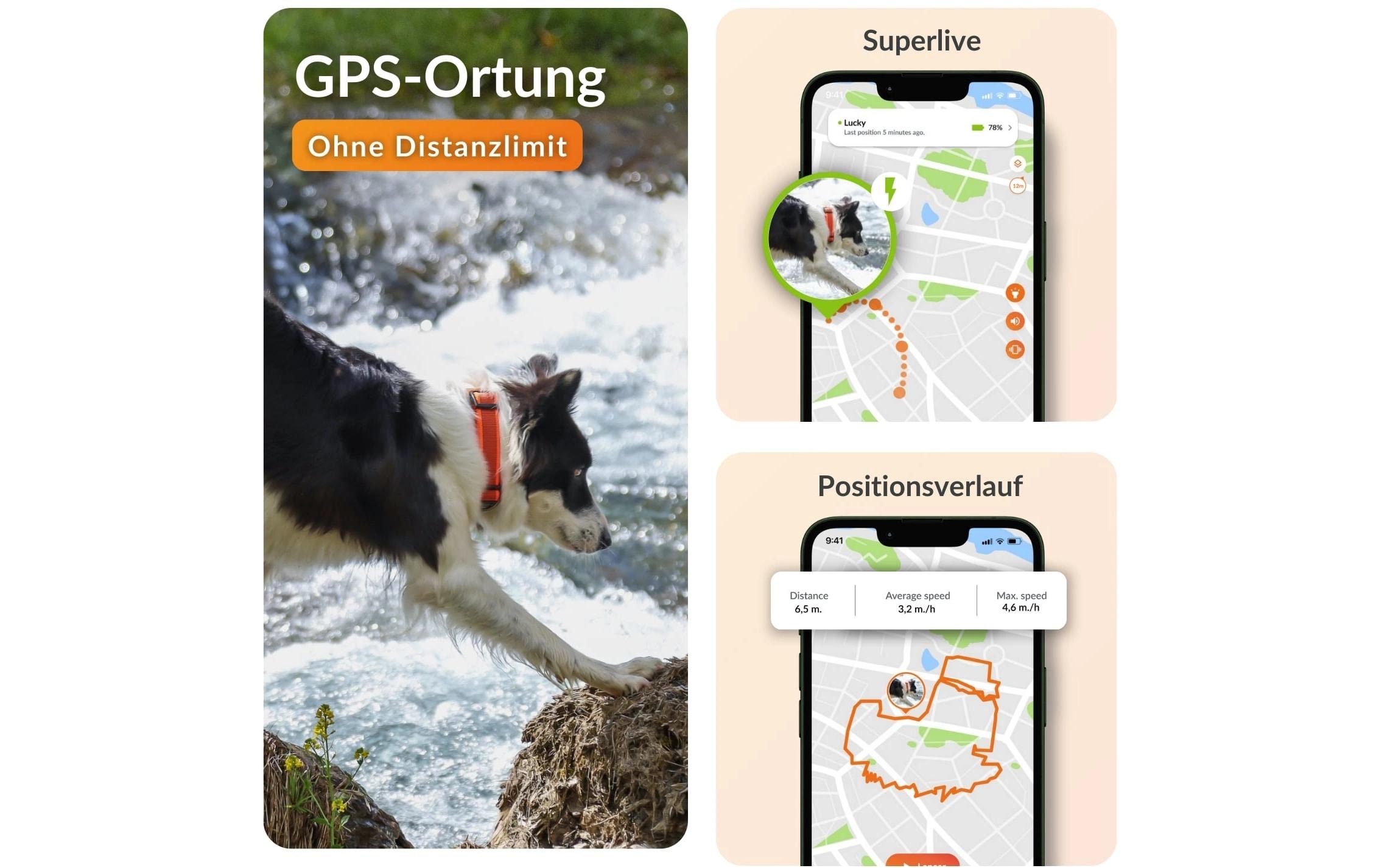   traceur GPS pour chiens »Weenect für Hunde XT mit Halsband«
