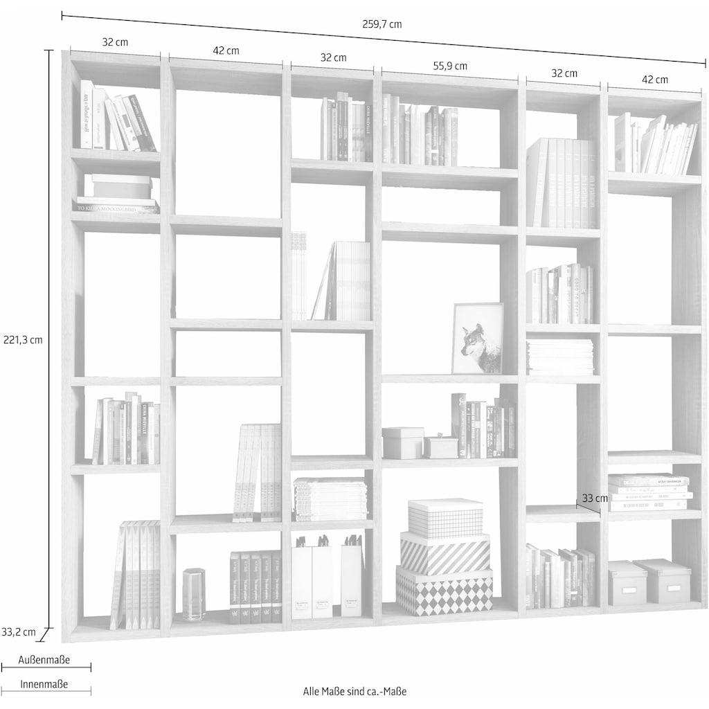 fif möbel Raumteilerregal »TORO 381«, Breite 260 cm