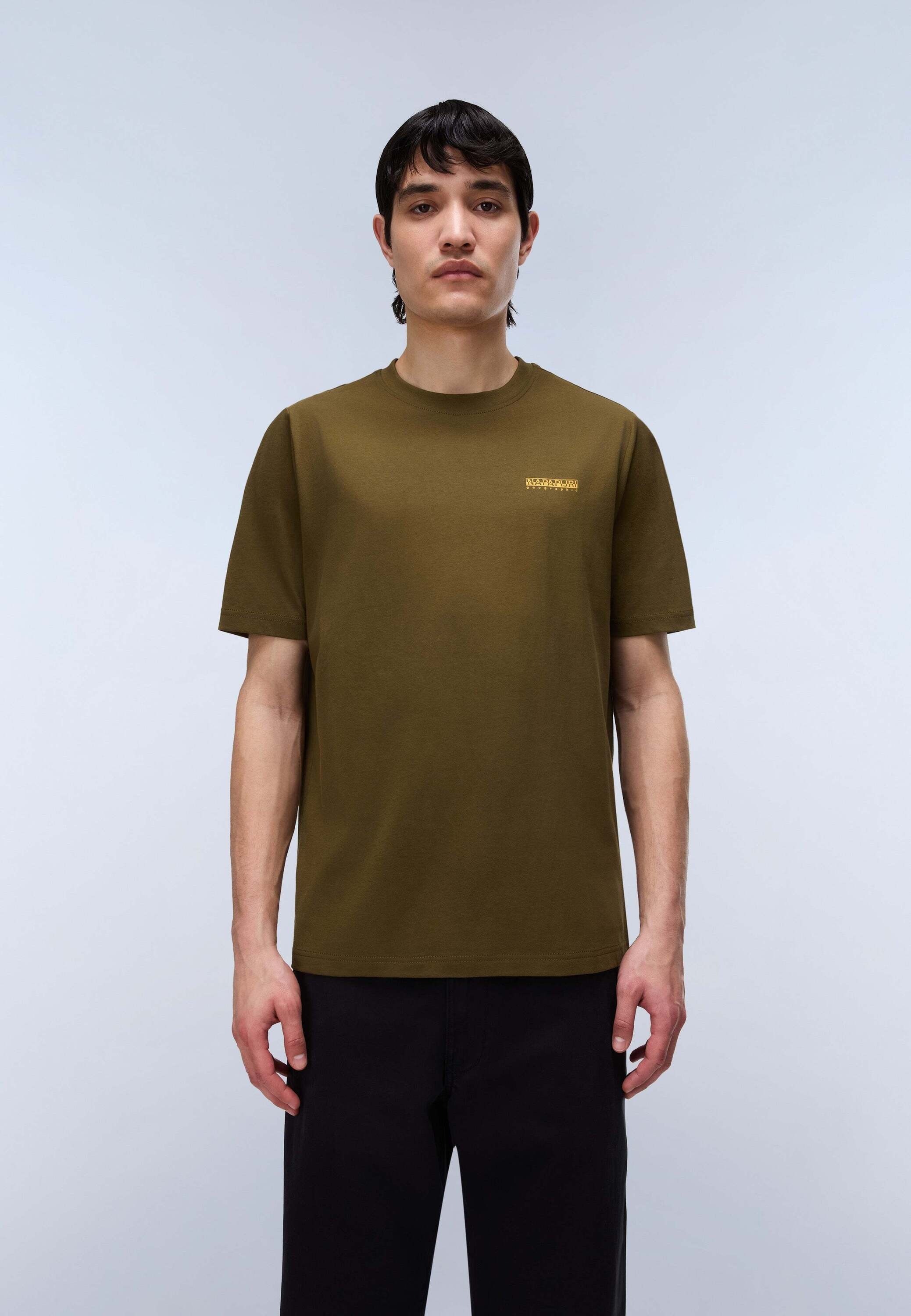 Napapijri T-Shirt »Napapijri T-Shirt S-FLINT SS«