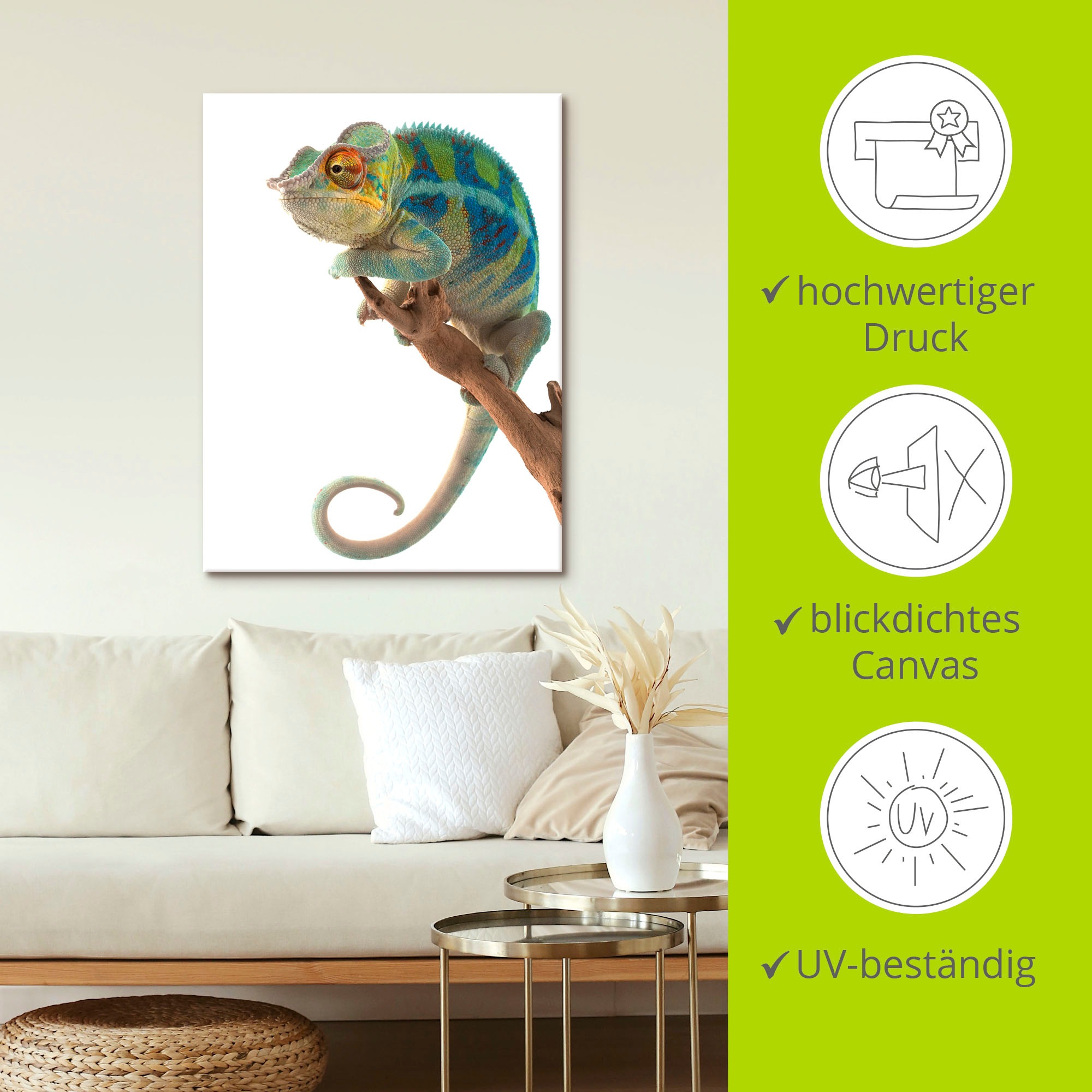 Artland Wandbild »Ambanja Panther Chamäleon«, Reptilien, (1 St.), als Leinwandbild, Poster in verschied. Grössen