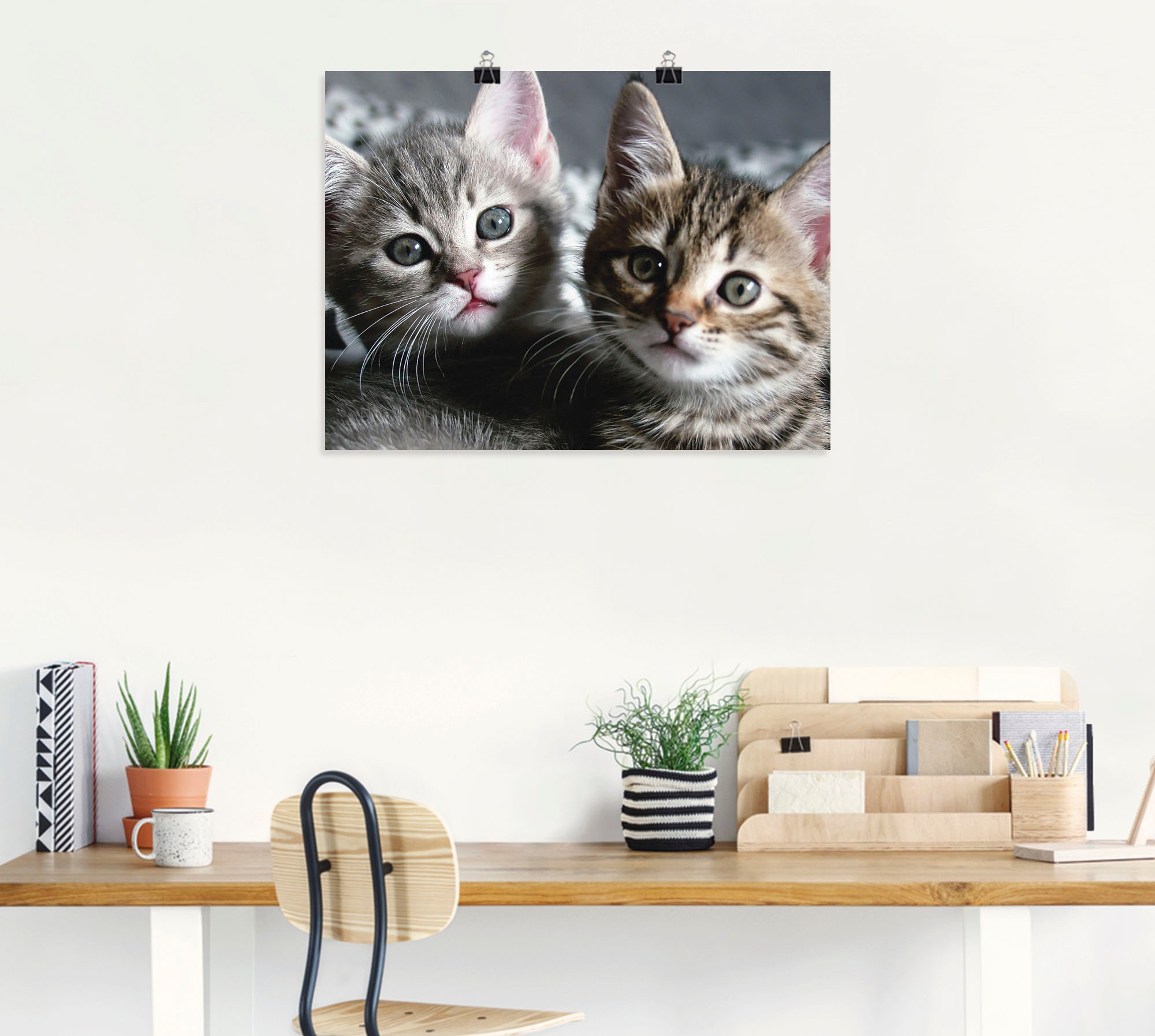 Artland Wandbild »Katze«, Haustiere, (1 St.), als Alubild, Outdoorbild, Leinwandbild, Poster, Wandaufkleber