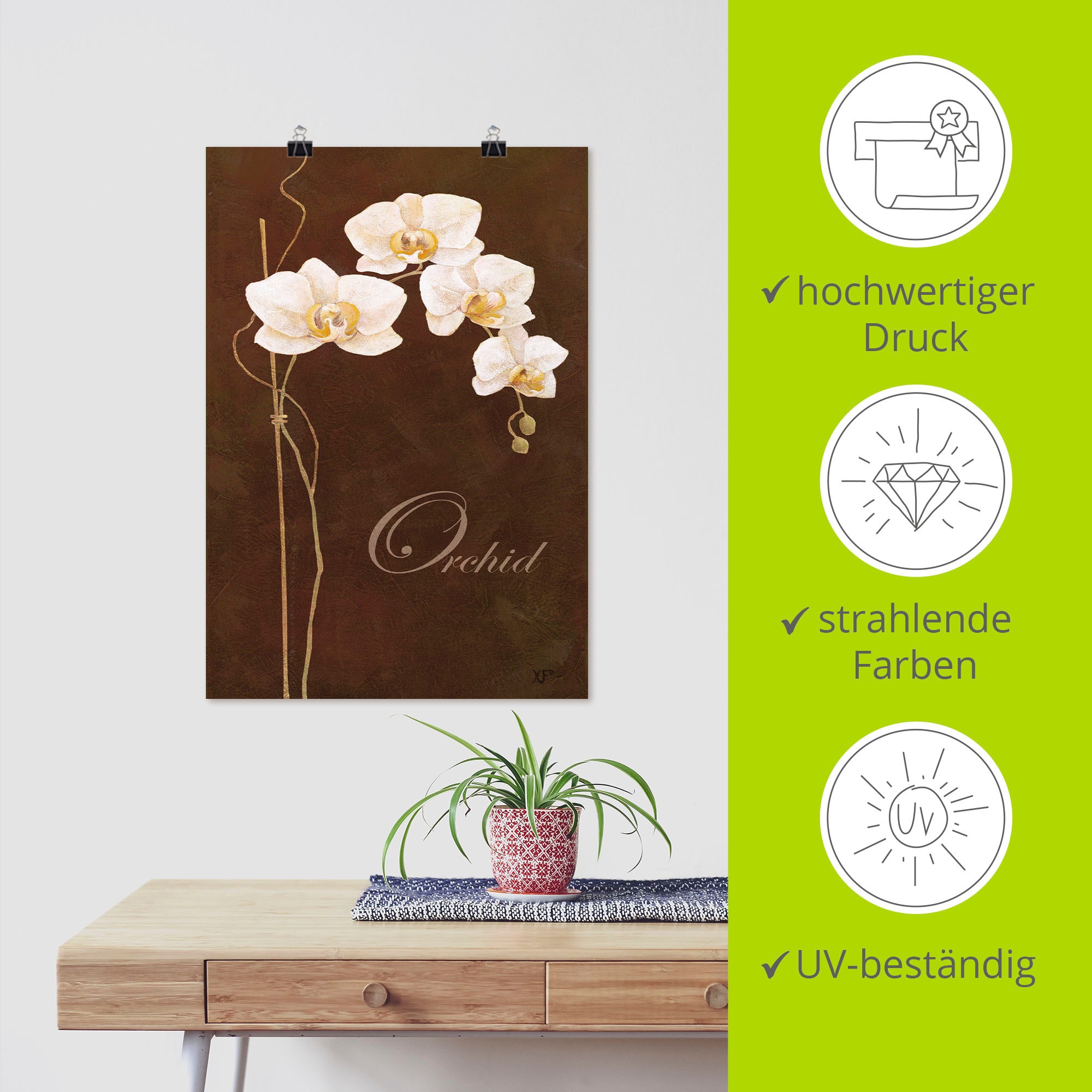 Artland Wandbild »Zarte Orchidee«, Blumen, (1 St.), als Leinwandbild, Poster in verschied. Grössen