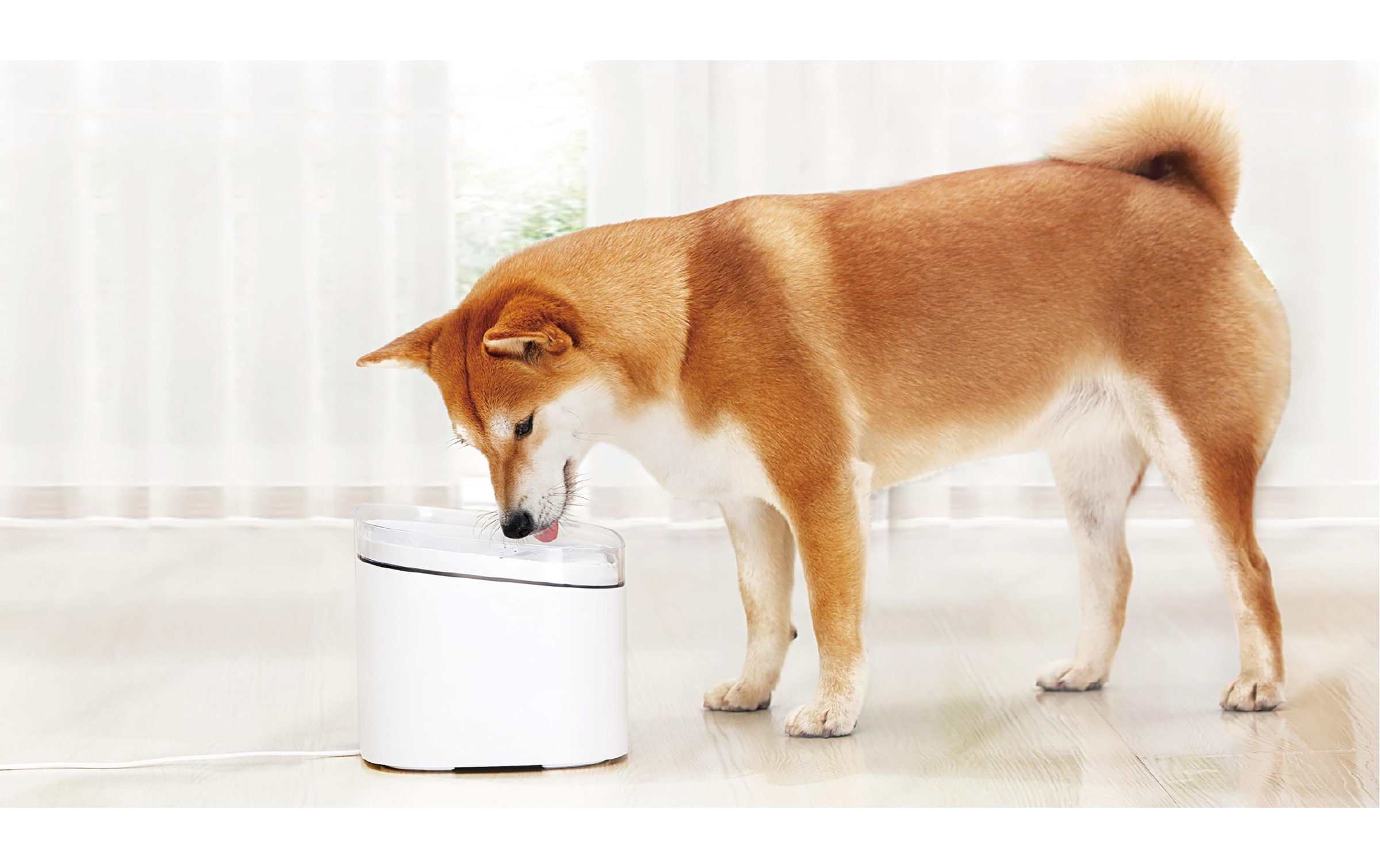 Xiaomi Wasserspender »Pet Fountain«