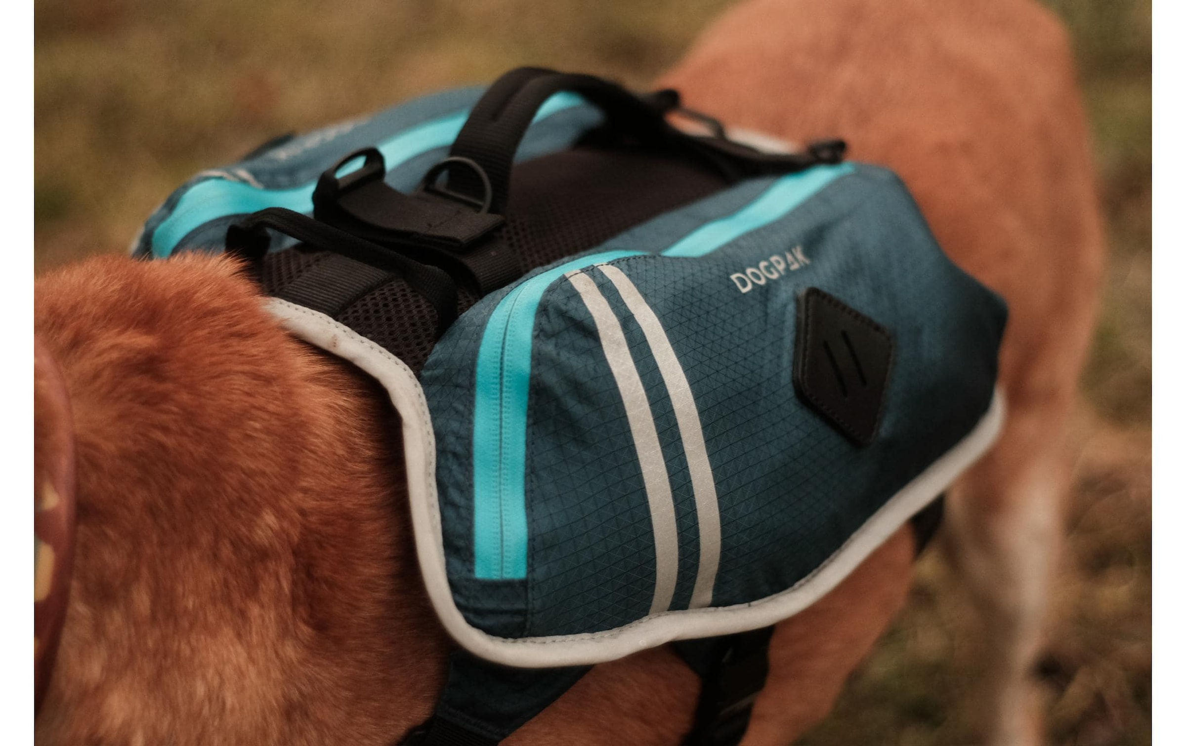  Hunde-Geschirr »DOGPAK Moab Lite Hunderucksack M« Rucksack und Wandergeschirr für Hunde aus «Die Höhle der Löwen»