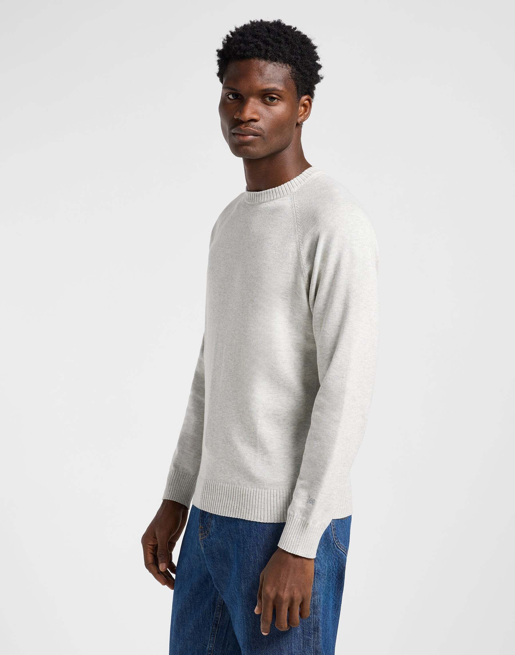 Lee® Strickpullover »LEE Pullover Clean Raglan Sweater«