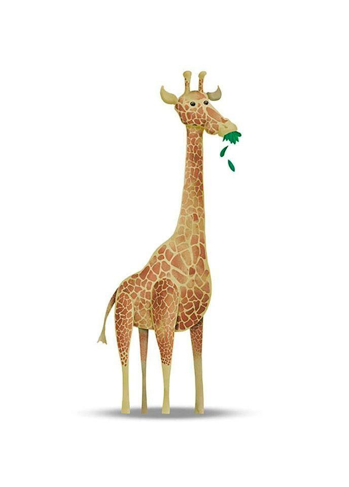 Image of Komar Poster »Cute Animal Giraffe«, Tiere, Höhe: 50cm bei Ackermann Versand Schweiz