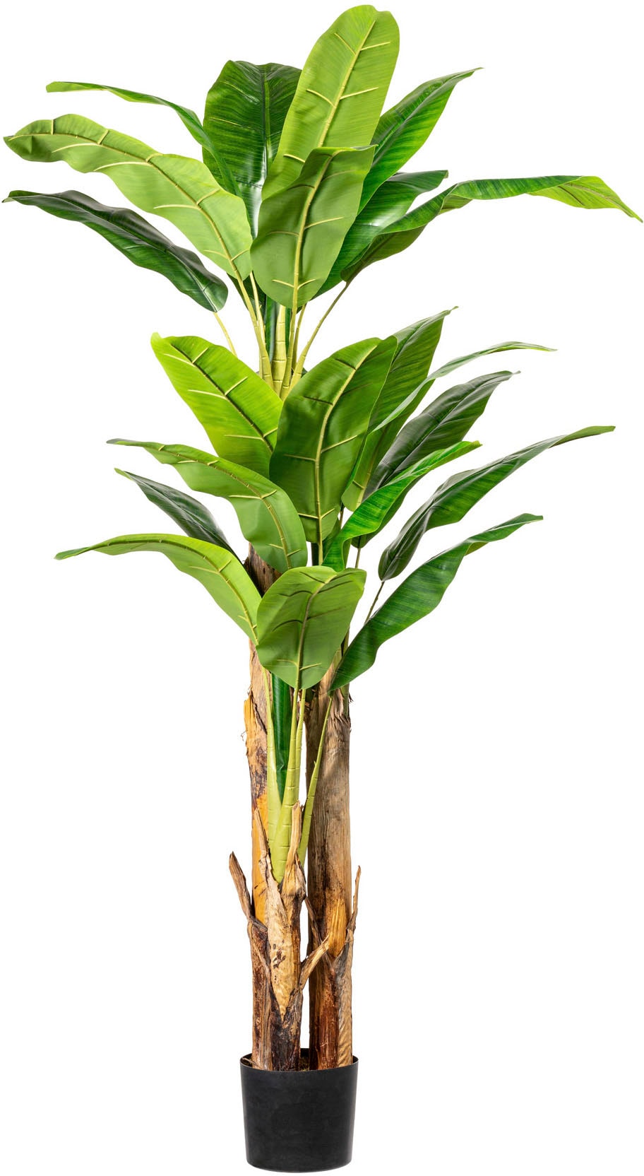 green Kunstpalme »Bananenpflanze« bequem kaufen Creativ