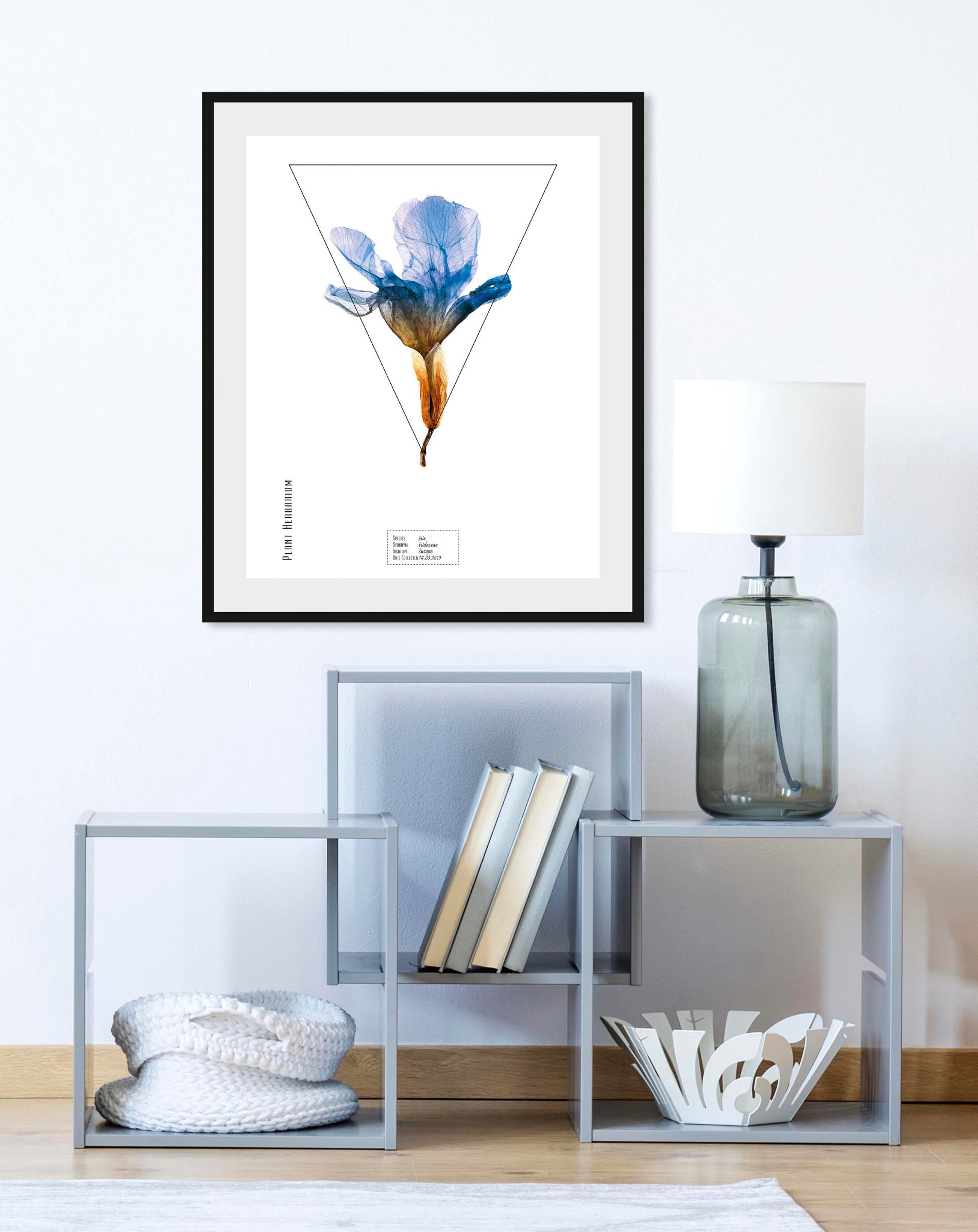 Image of queence Bild "Iris" Pflanzen Pflanzenbilder Schriftzug 1 Stk. tlg. HD Premium Poster-Druck inkl. Holzrahmen