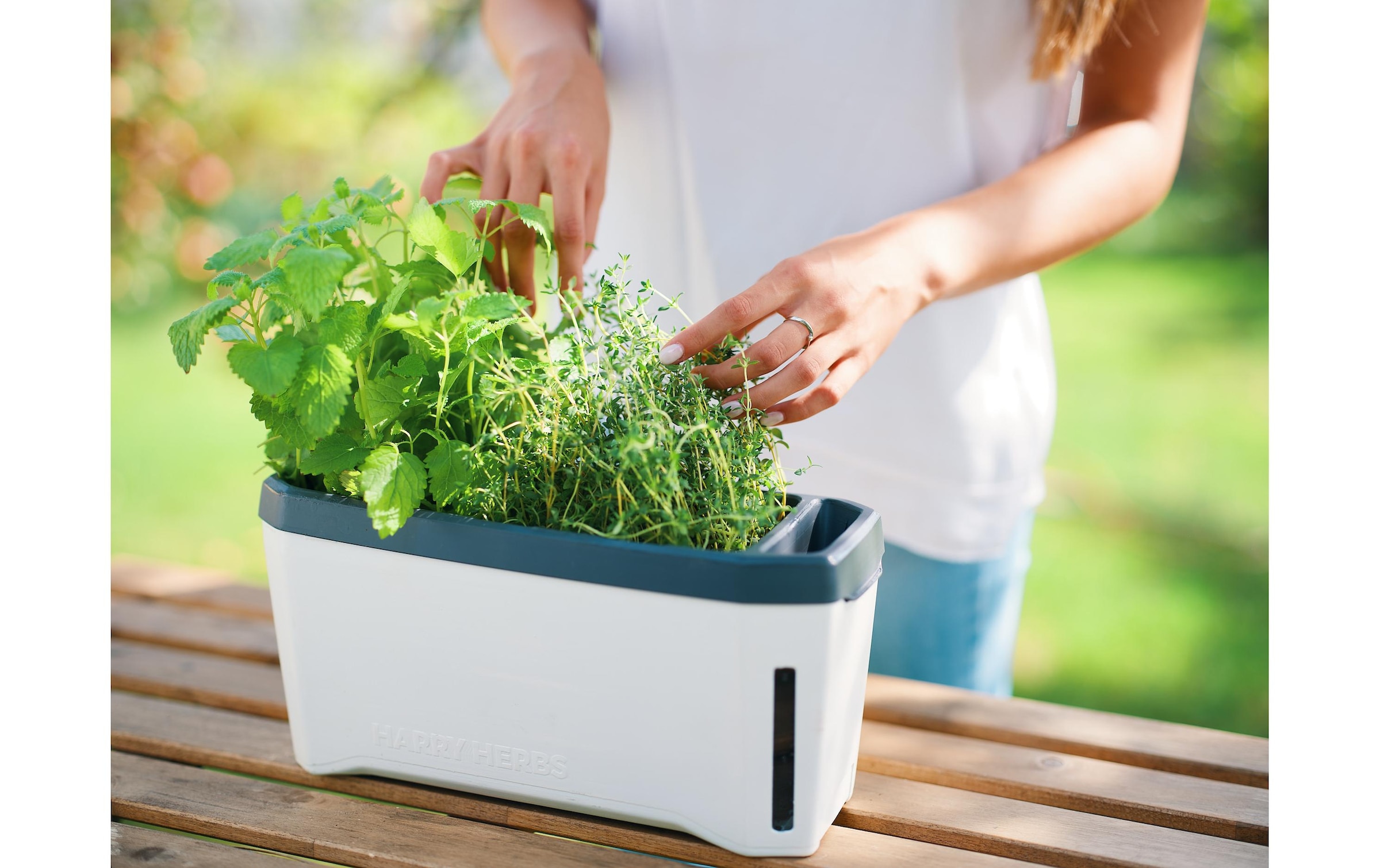 Gusta Garden Kräutertopf »HERBS weiss«