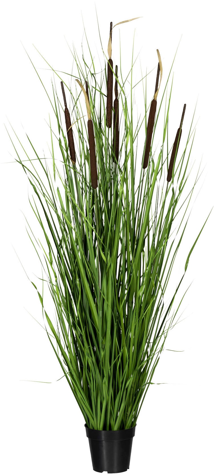 Image of Creativ green Kunstgras »Grasbusch mit Schilfkolben«, (1 St.) bei Ackermann Versand Schweiz