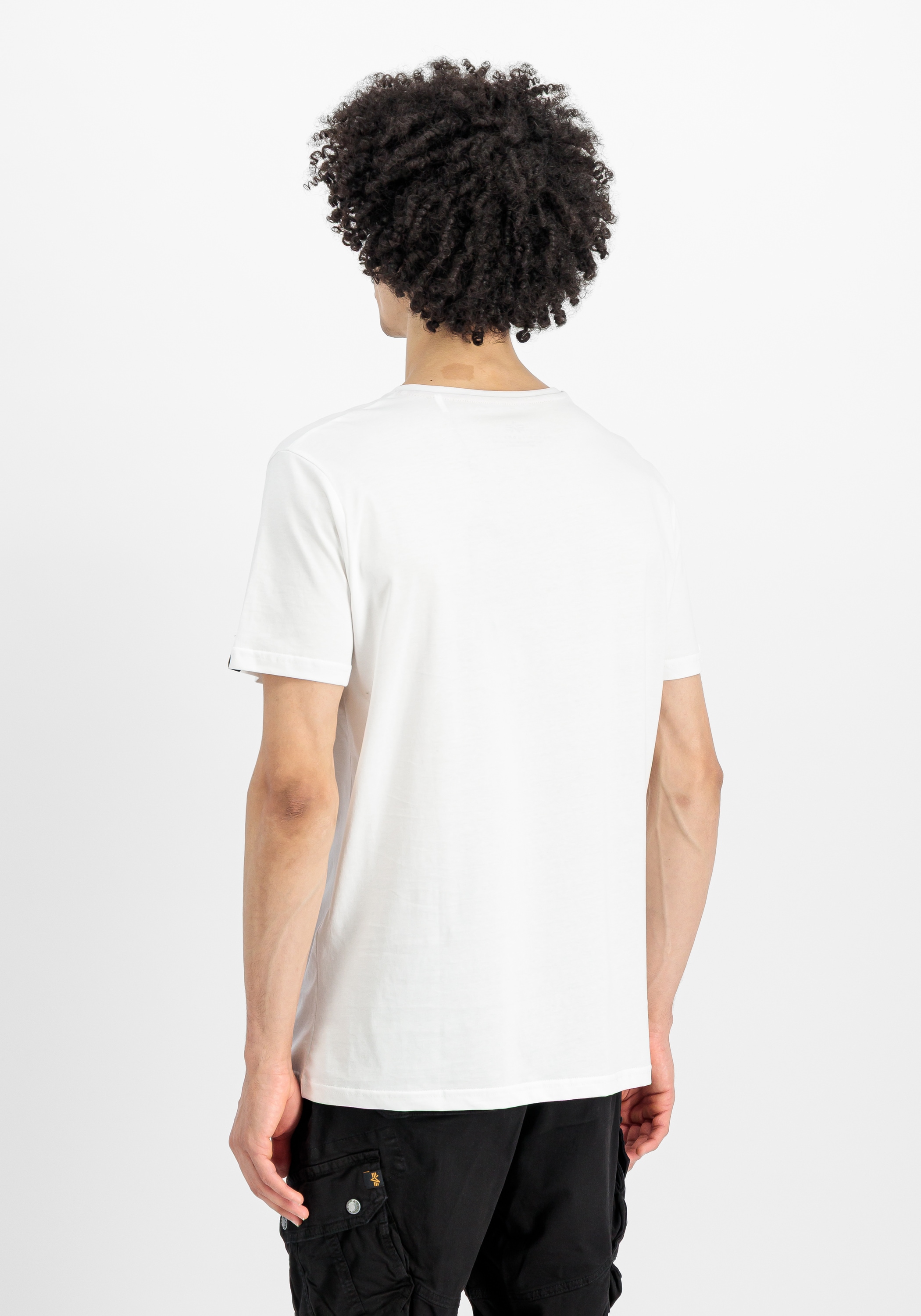 Alpha Industries T-Shirt »Alpha Industries Men - T-Shirts Basic T-Shirt BL V-Neck«