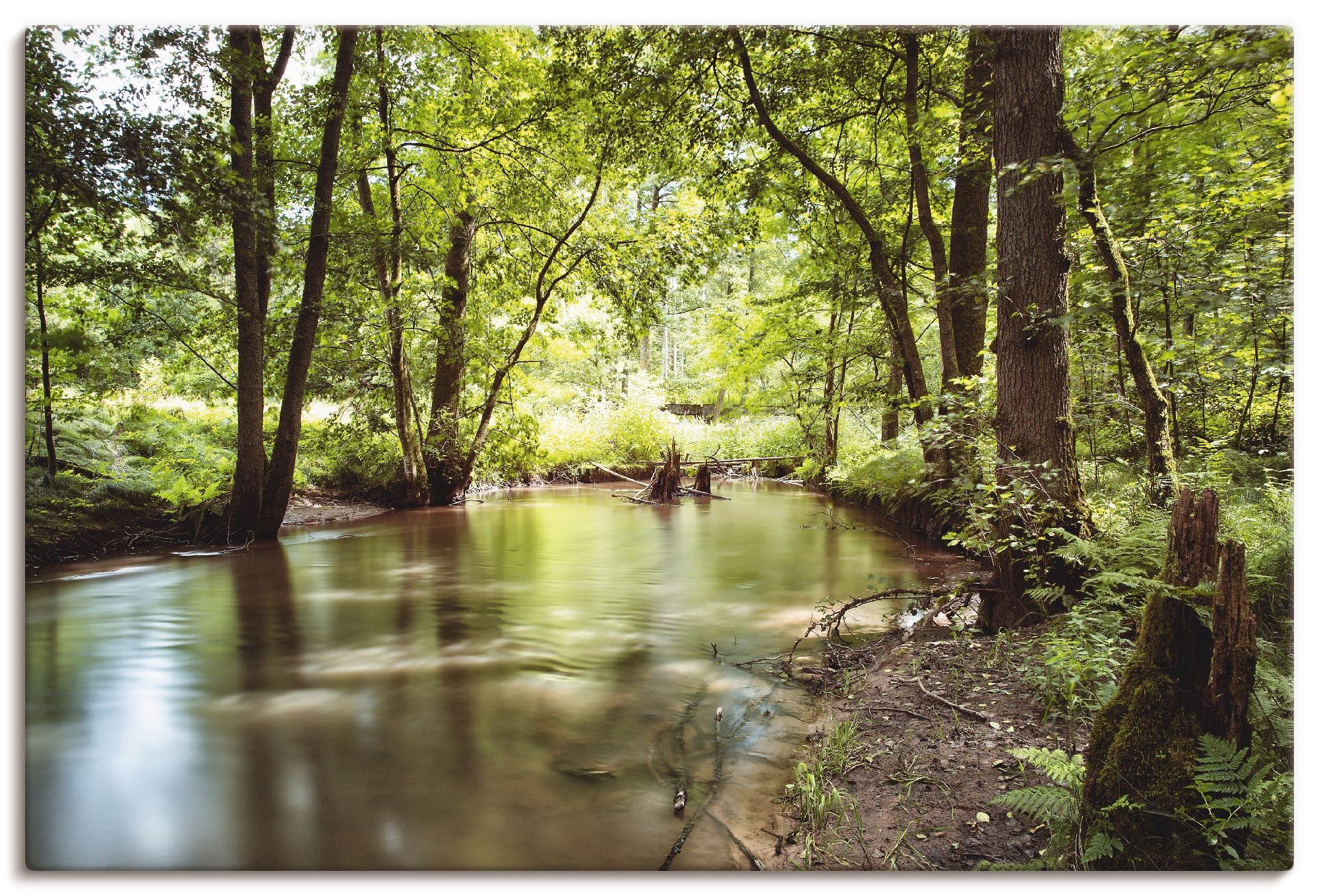 Image of Artland Leinwandbild "Spessart II" Wald 1 Stk. tlg. auf Holzrahmen gespannt