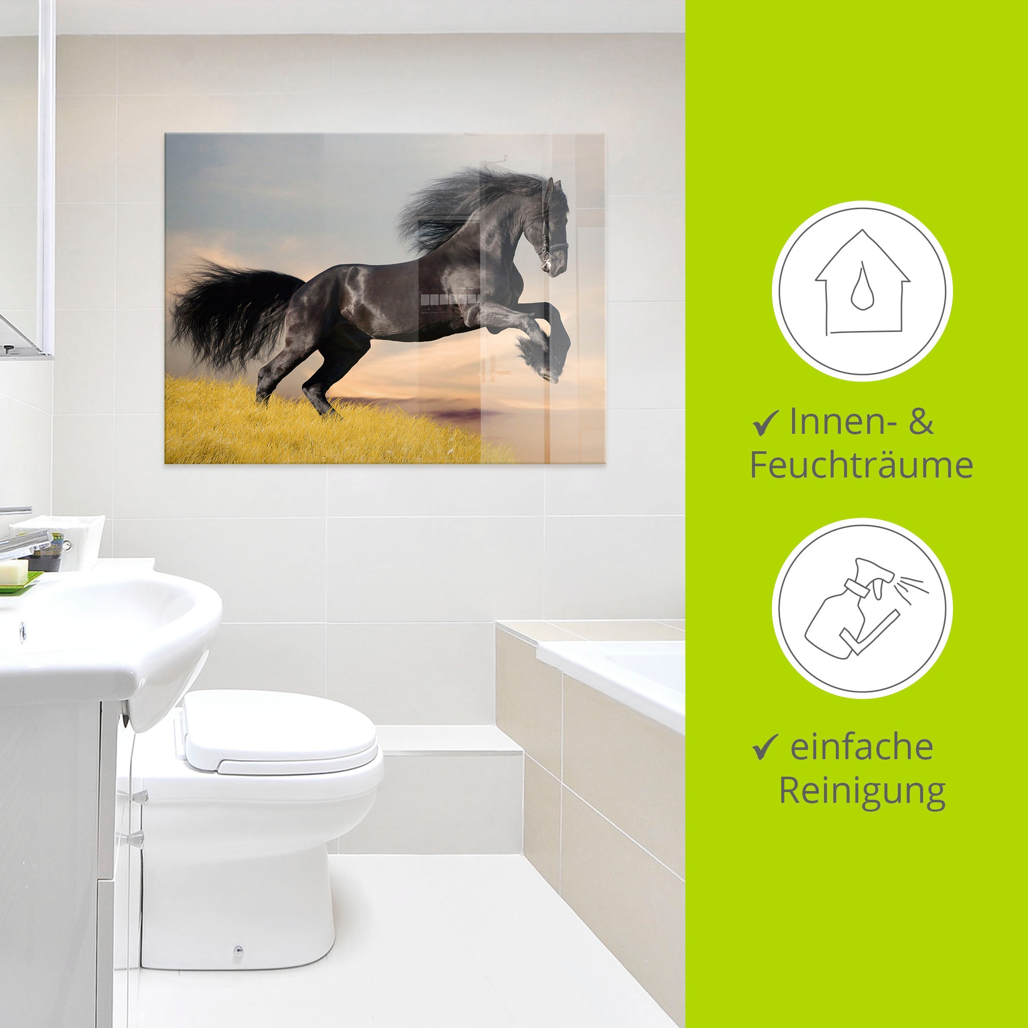 Artland Tableau en verre »Friesischer Hengstgalopp« 1 cuis tlg. in verschiedenen Grössen