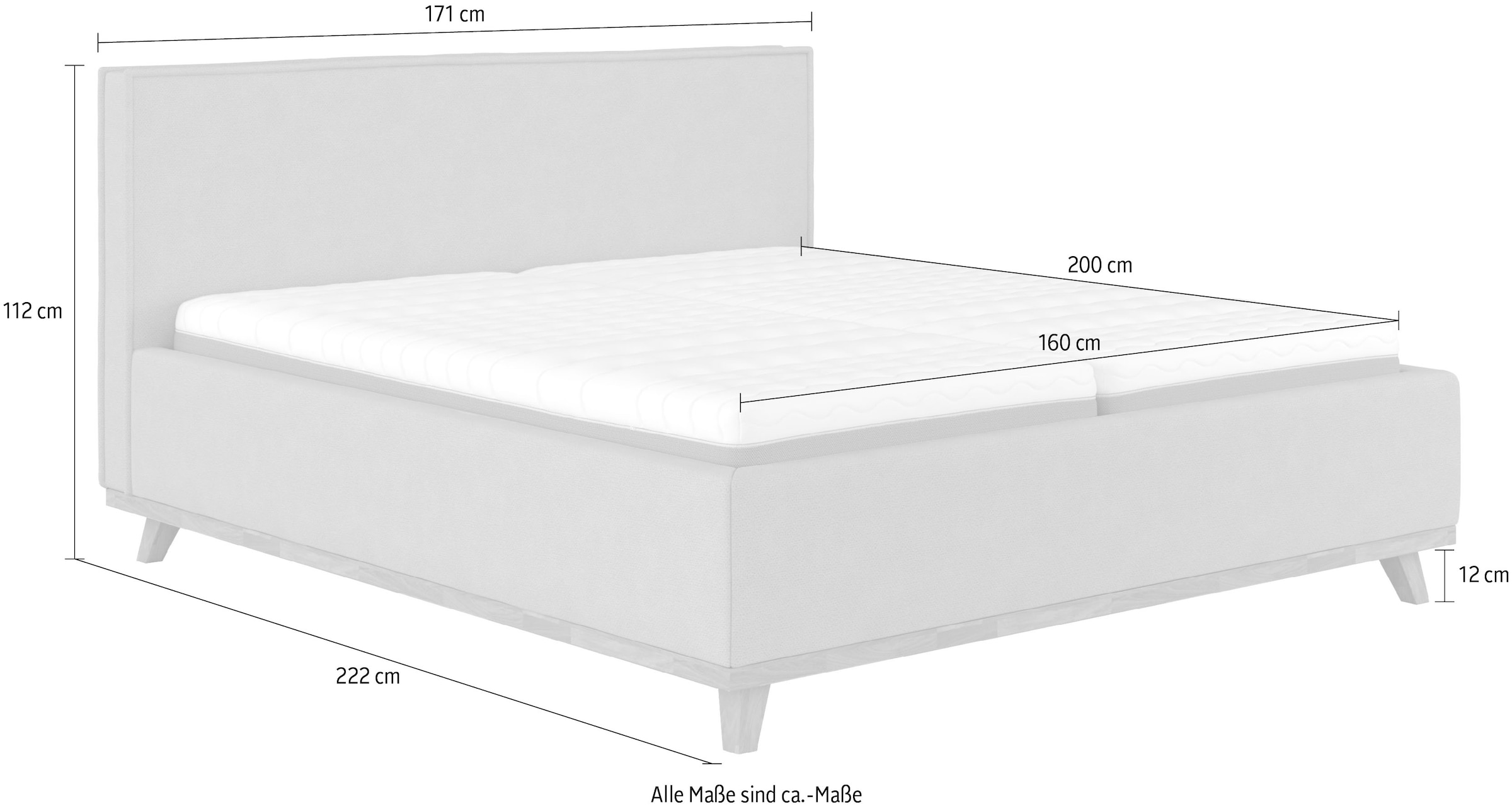 COTTA Polsterbett »MILLI I wahlweise mit Bettkasten« erhältlich in den Grössen 160x200cm & 180x200cm