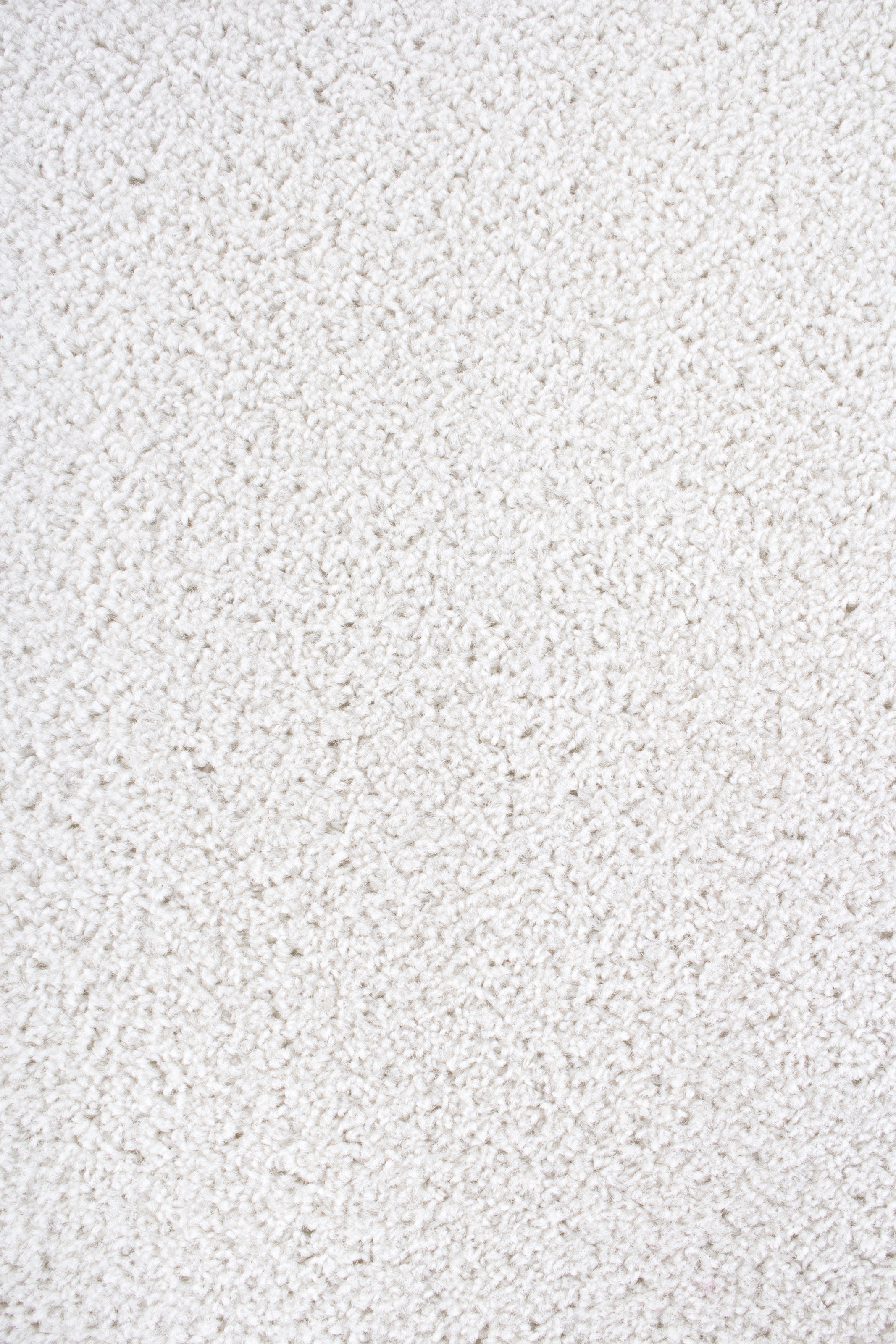 Image of Andiamo Teppichboden »Clara«, rechteckig, 9 mm Höhe, Meterware, Breite 400 cm, Velours, Uni Farben, Wohnzimmer bei Ackermann Versand Schweiz