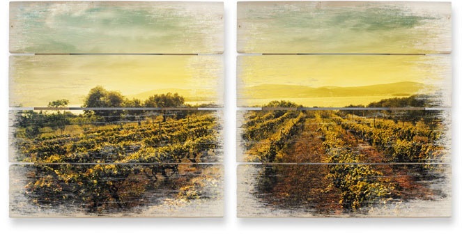 Image of Wall-Art Mehrteilige Bilder »Weinreben im Sonnenuntergang«, (Set, 2 St.) bei Ackermann Versand Schweiz