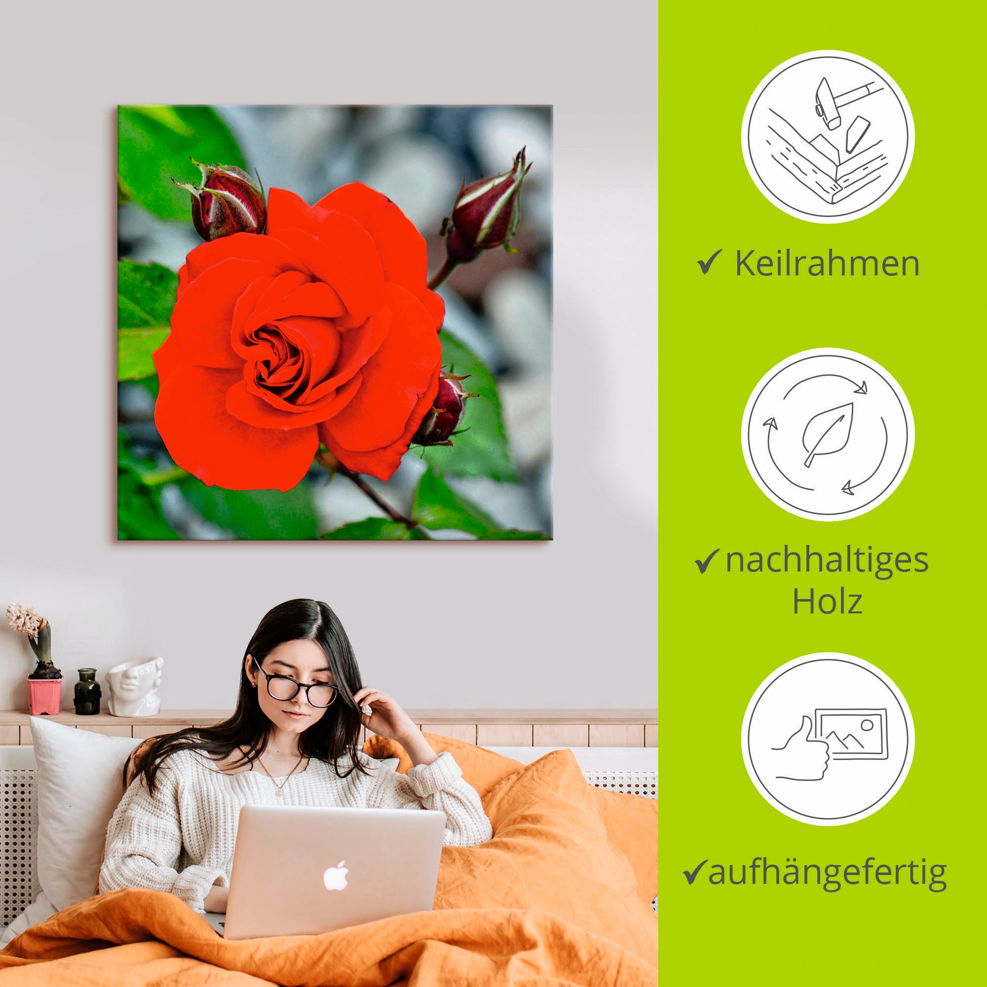 Artland Wandbild »Rote Rosenblüte mit Knospen«, Blumen, (1 St.), als Leinwandbild, Wandaufkleber in verschied. Grössen