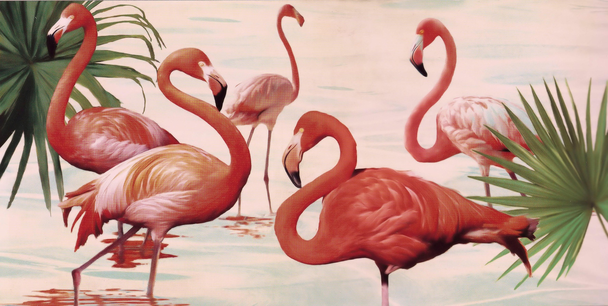Image of my home Deco-Panel »TEO RIZZARDI / Flamingos«, (100/3/50 cm) bei Ackermann Versand Schweiz