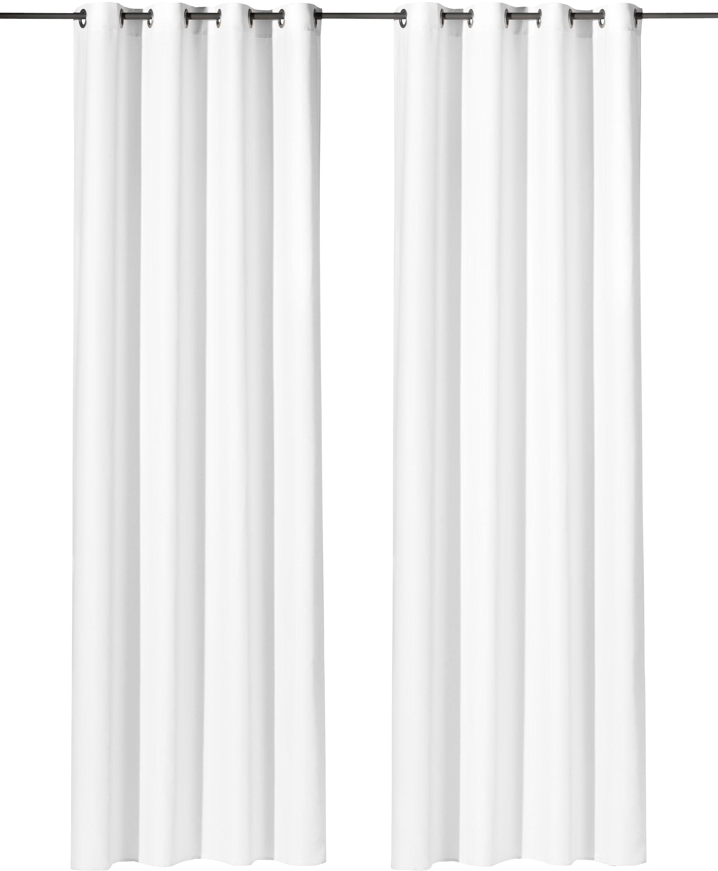 Weckbrodt Vorhang »Vito«, (1 St.), Microvelour, blickdicht, Unifarben, Gardine, Store