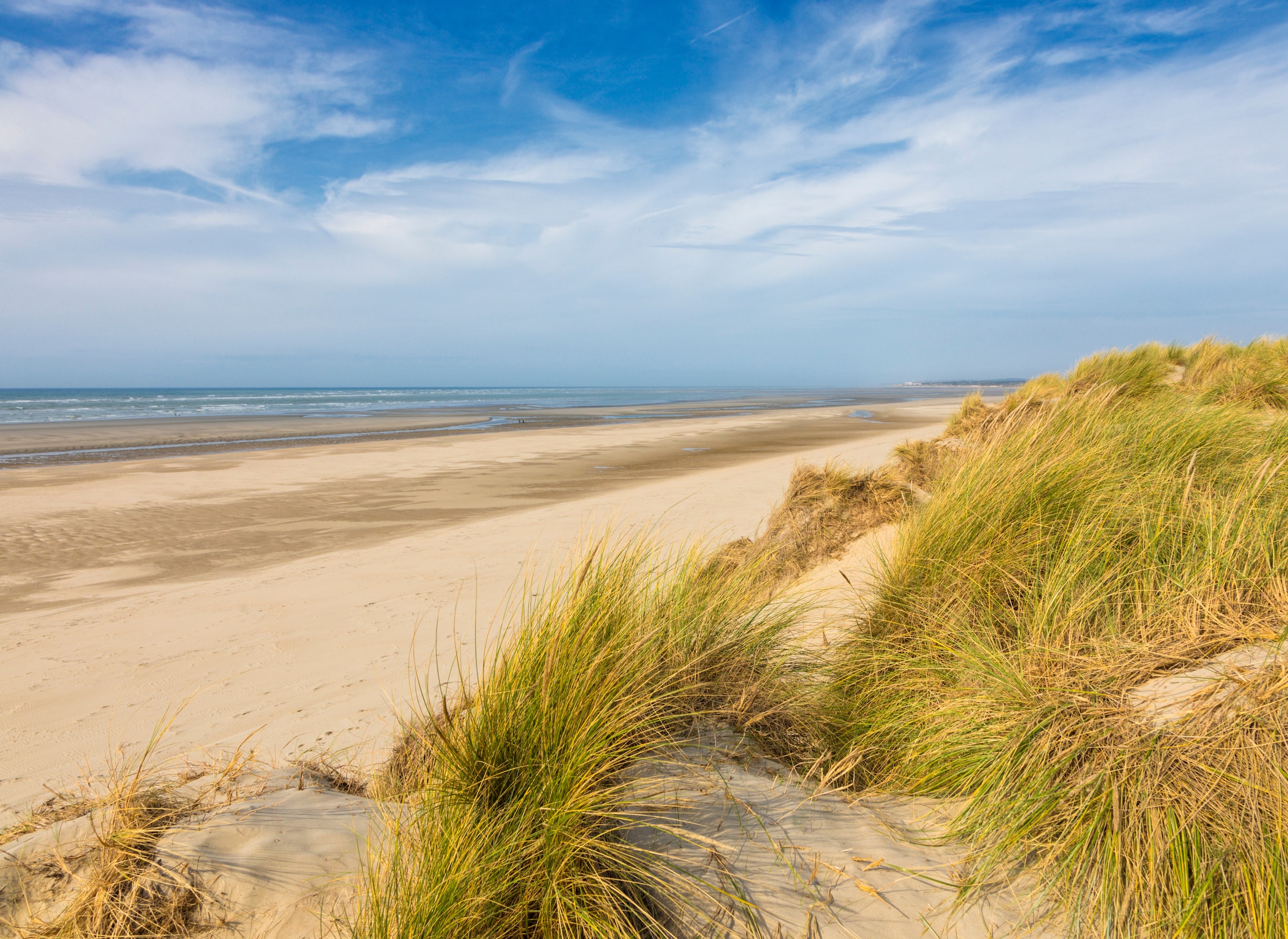 Image of Papermoon "Dunes Touquet-Paris Beach" glatt