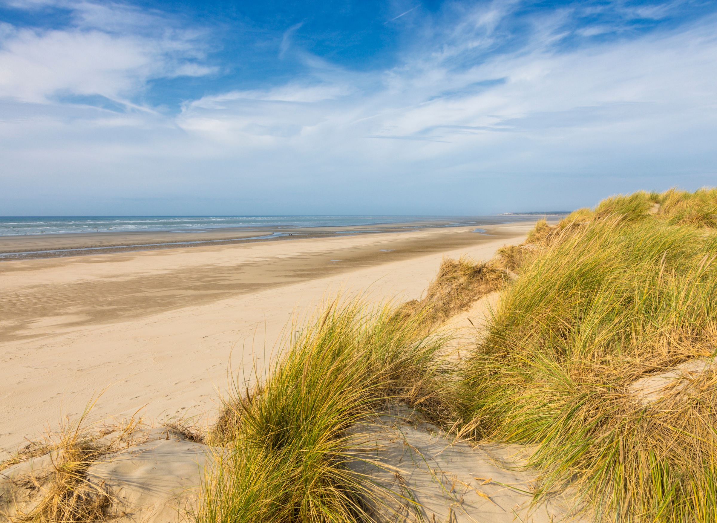 Image of Papermoon Fototapete "Dunes Touquet-Paris Beach" glatt