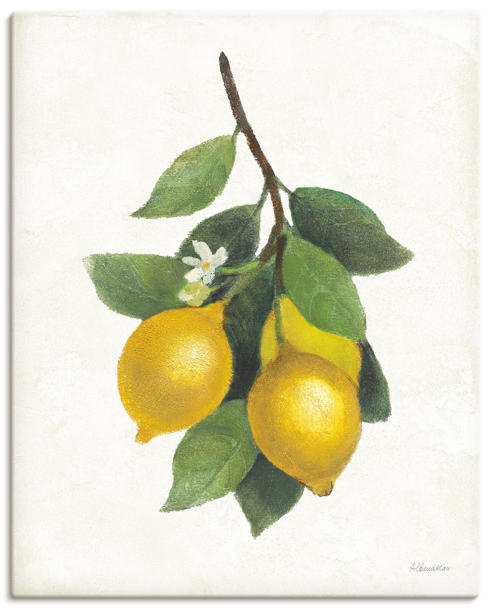 Image of Artland Wandbild "Lemon Branch III" Pflanzenbilder 1 Stk. tlg. als Alubild, Leinwandbild, Poster, Wandaufkleber in verschied. Grössen