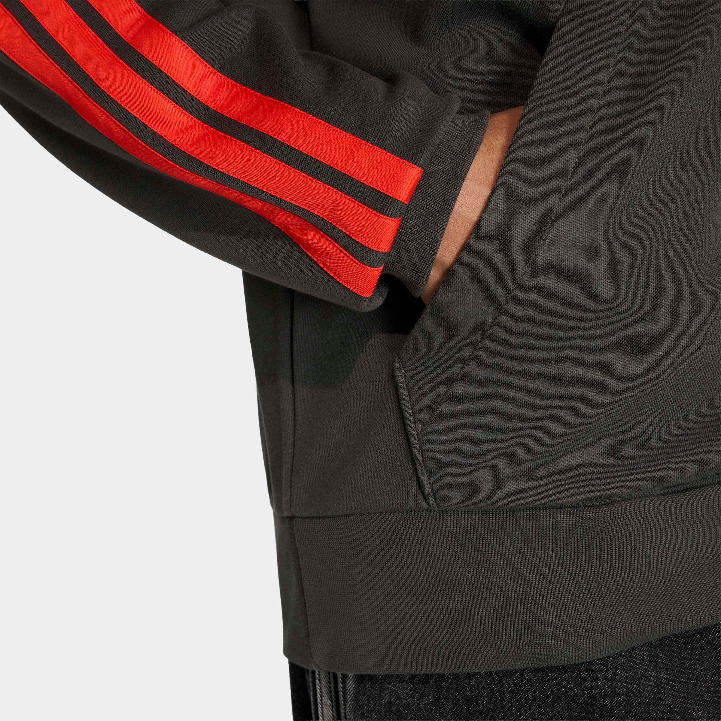 adidas Performance Sweat à capuche »AUDI REVOLUT F1 TEAM DNA FRENCH TERRY HOODIE«
