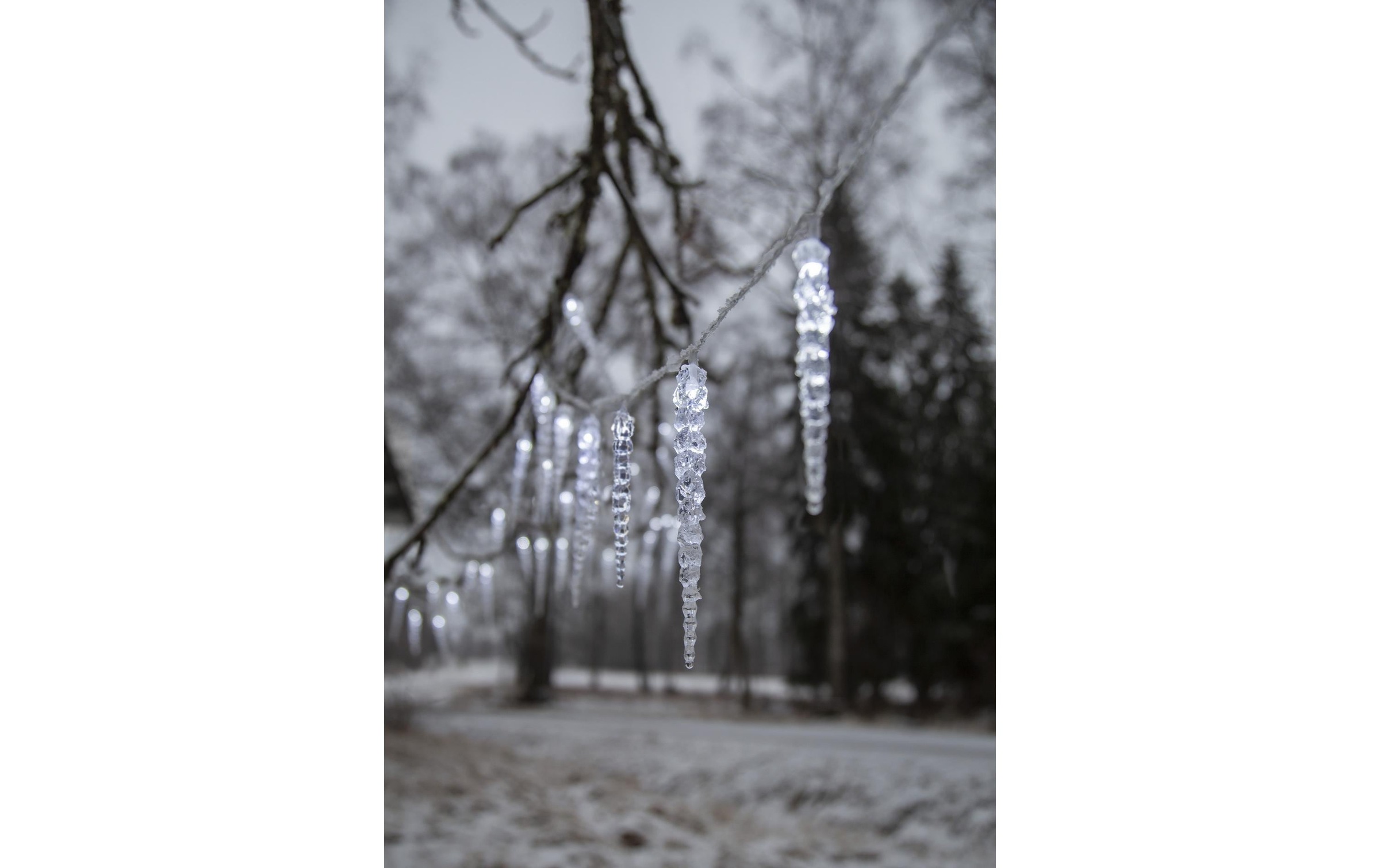 Parforce Traditional Hunting Rideau lumineux LED »Trading LED-Lichtervorhang Gel« 40 cuis-flammig