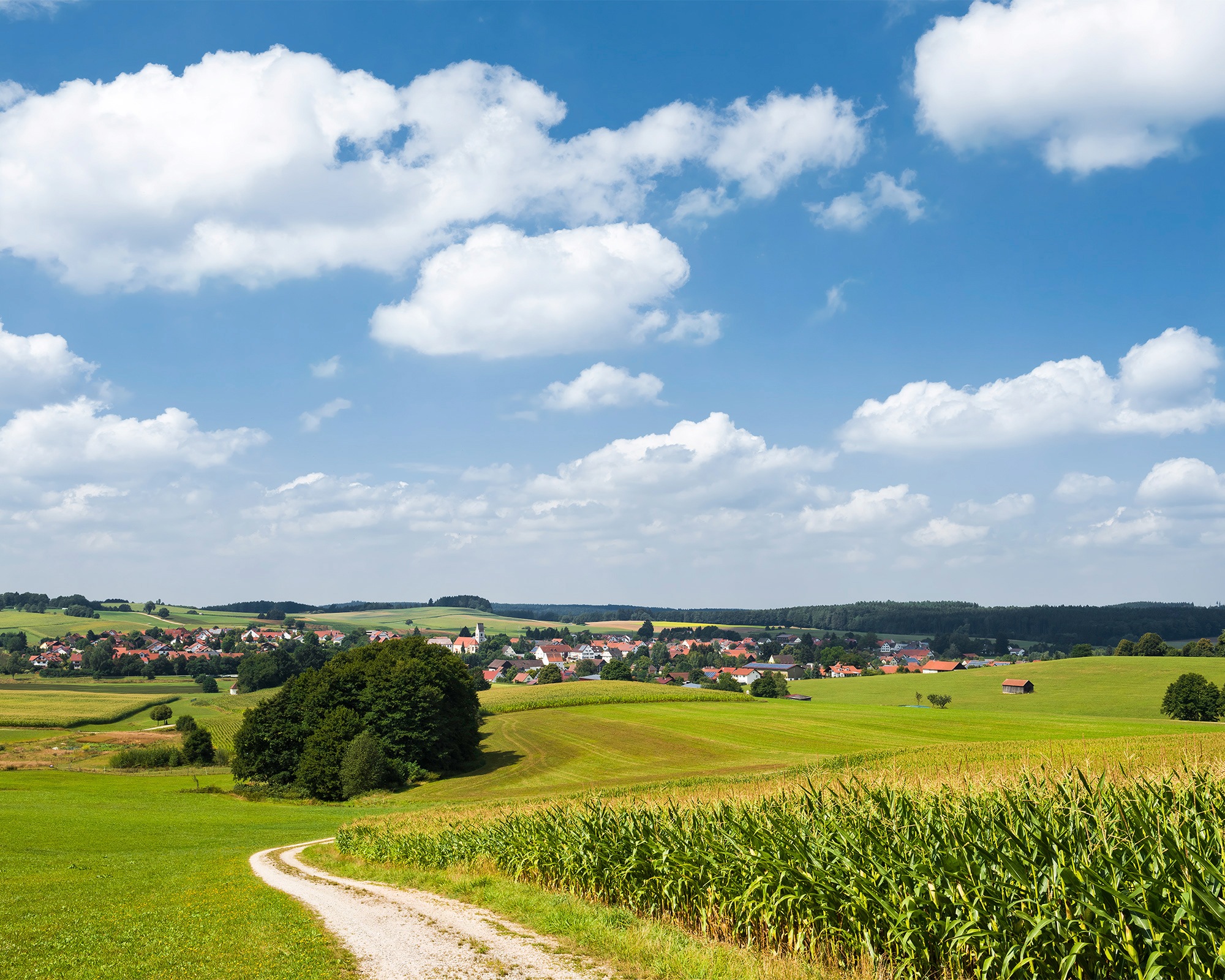 Image of Komar Fototapete »Bayrische Idylle«, mehrfarbig-natürlich-bedruckt bei Ackermann Versand Schweiz