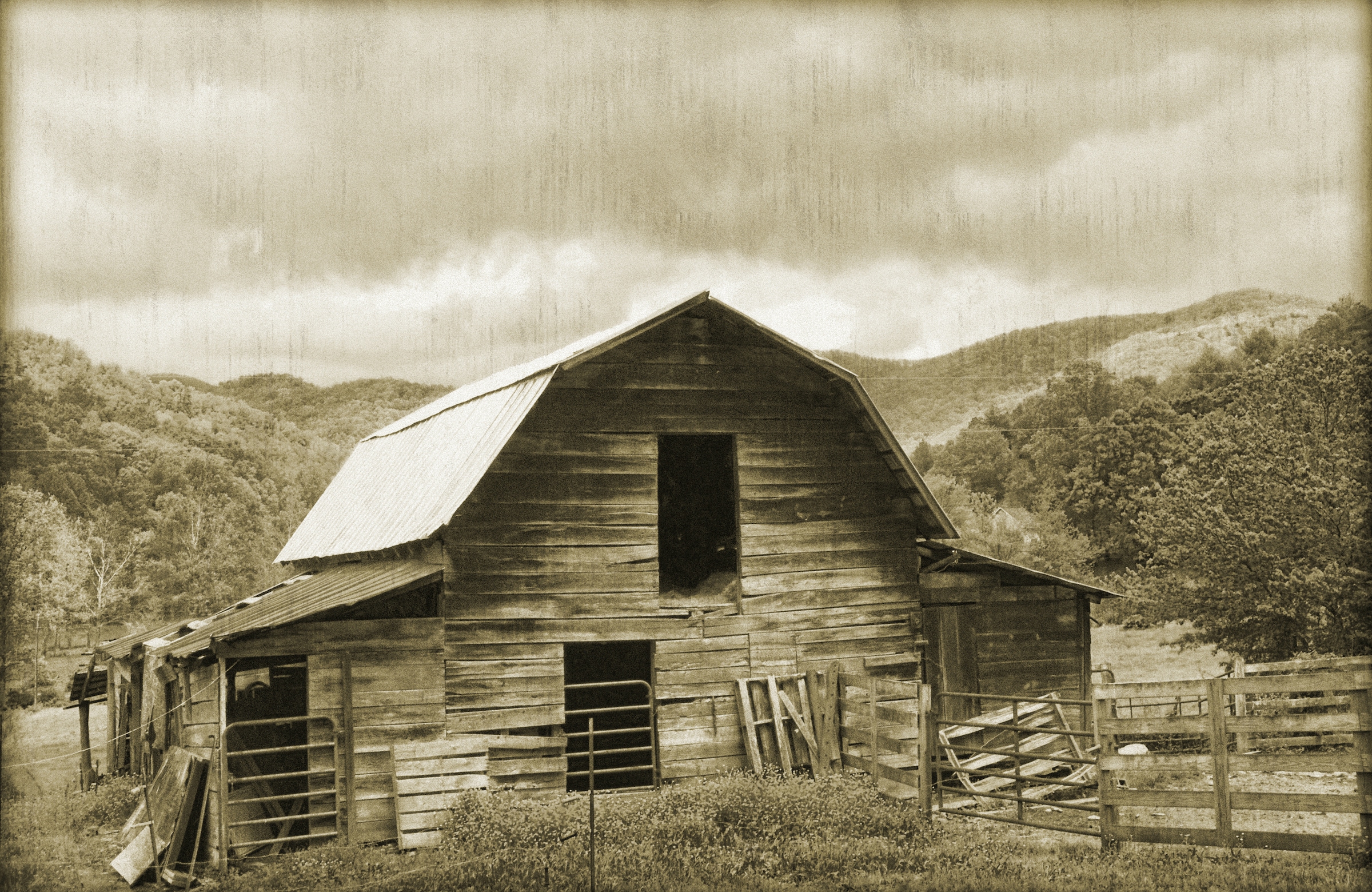Image of Papermoon Fototapete "VINTAGE-NATUR LANDSCHAFT SCHWARZ WEIssBÄUME WANDBILD"