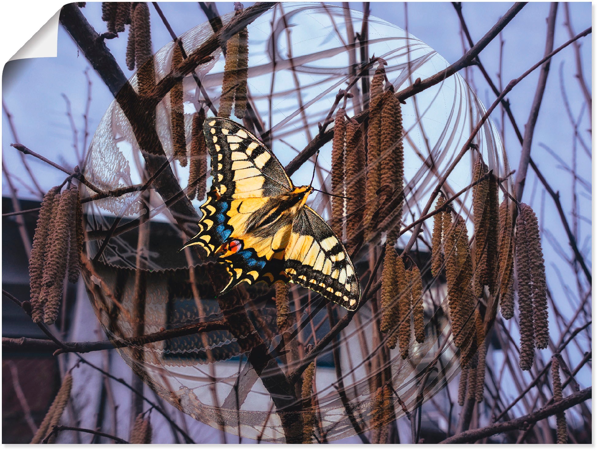 Image of Artland Wandbild »Fensterblick - Burghausener Burg«, Gebäude, (1 St.), in vielen Grössen & Produktarten - Alubild / Outdoorbild für den Aussenbereich, Leinwandbild, Poster, Wandaufkleber / Wandtattoo auch für Badezimmer geeignet bei Ackermann Versand Schw