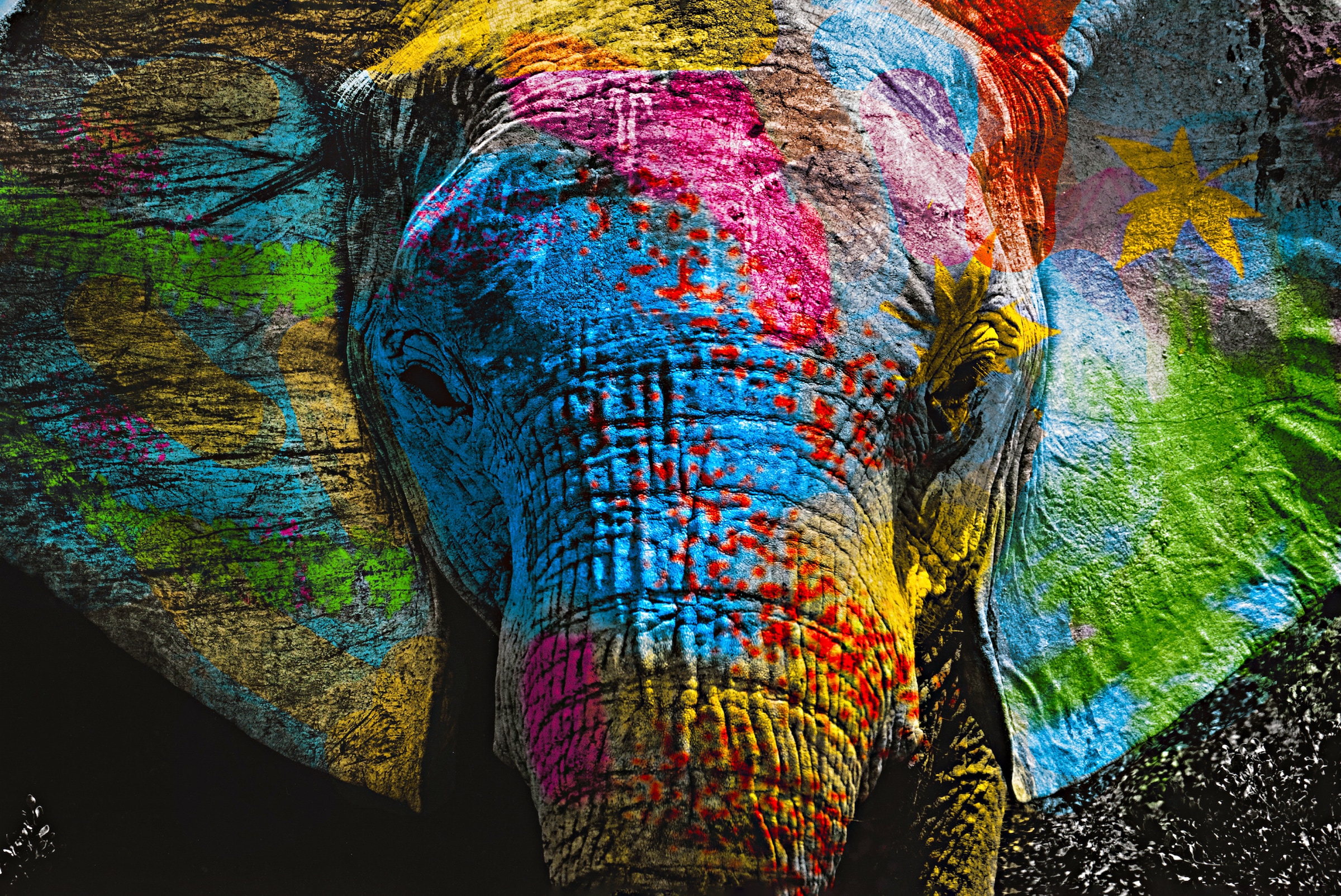 Image of Affengeilebilder Leinwandbild "Color Elephant auf Keilrahmen gespannt" 1 Stk. tlg. Kunstdruck Wandbild Bild in verschiedenen Formaten