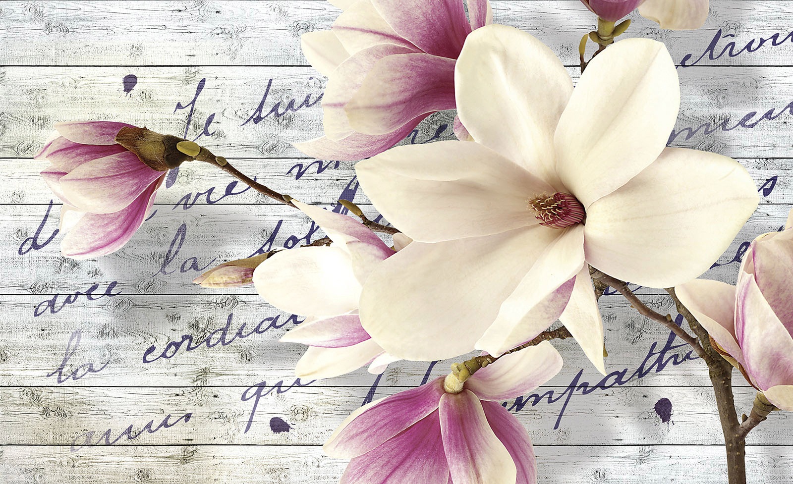 Image of Consalnet Vliestapete »Magnolie auf Holzbrette«, verschiedene Motivgrössen, für das Büro oder Wohnzimmer bei Ackermann Versand Schweiz