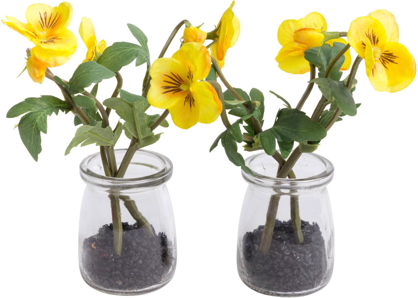 Image of Botanic-Haus Kunstblume »Horveilchen«, (Set, 2 St.) bei Ackermann Versand Schweiz