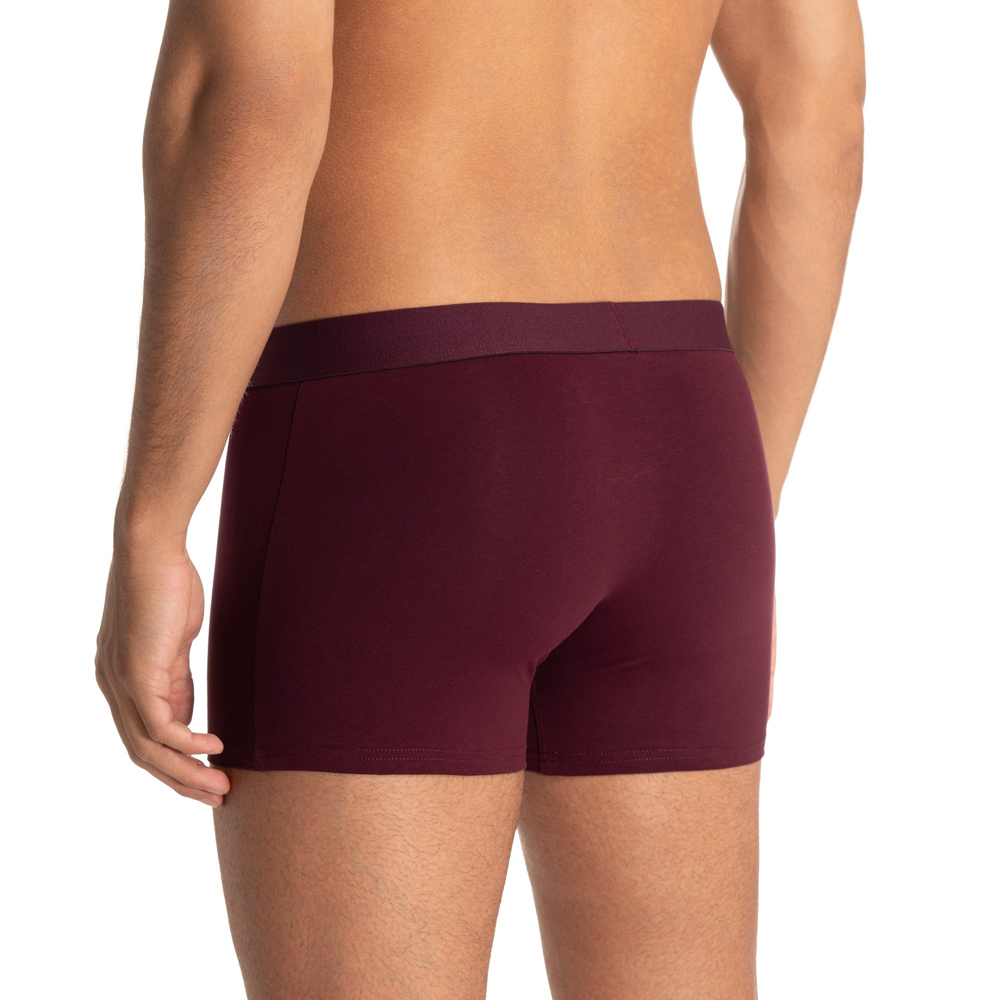 Bruno Banani Boxer »Flowing« 2er Pack,  mit kontrastreichem Logobund