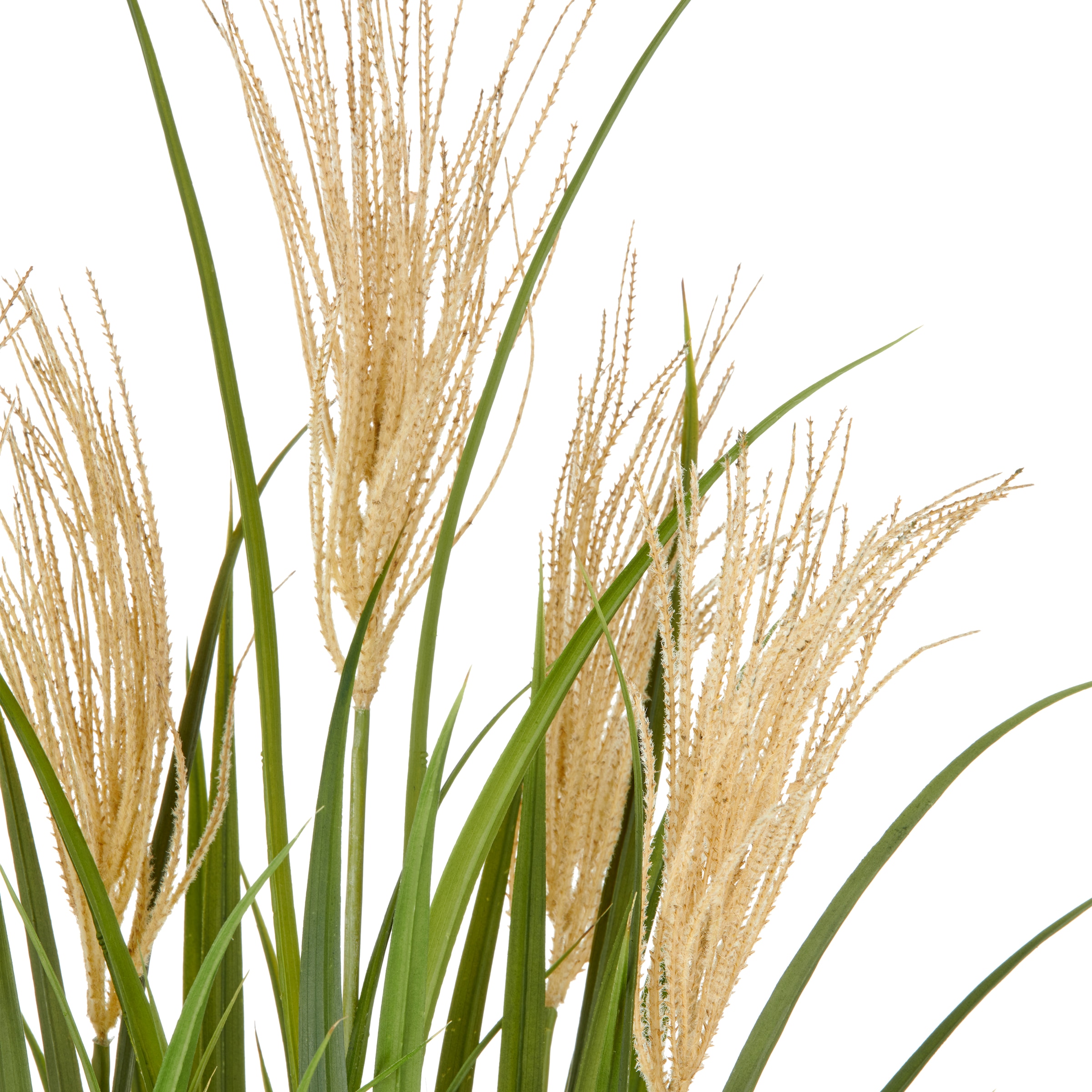 Creativ green Herbe artificielle »Grasbusch Schilfrohr« im eleganten Topf