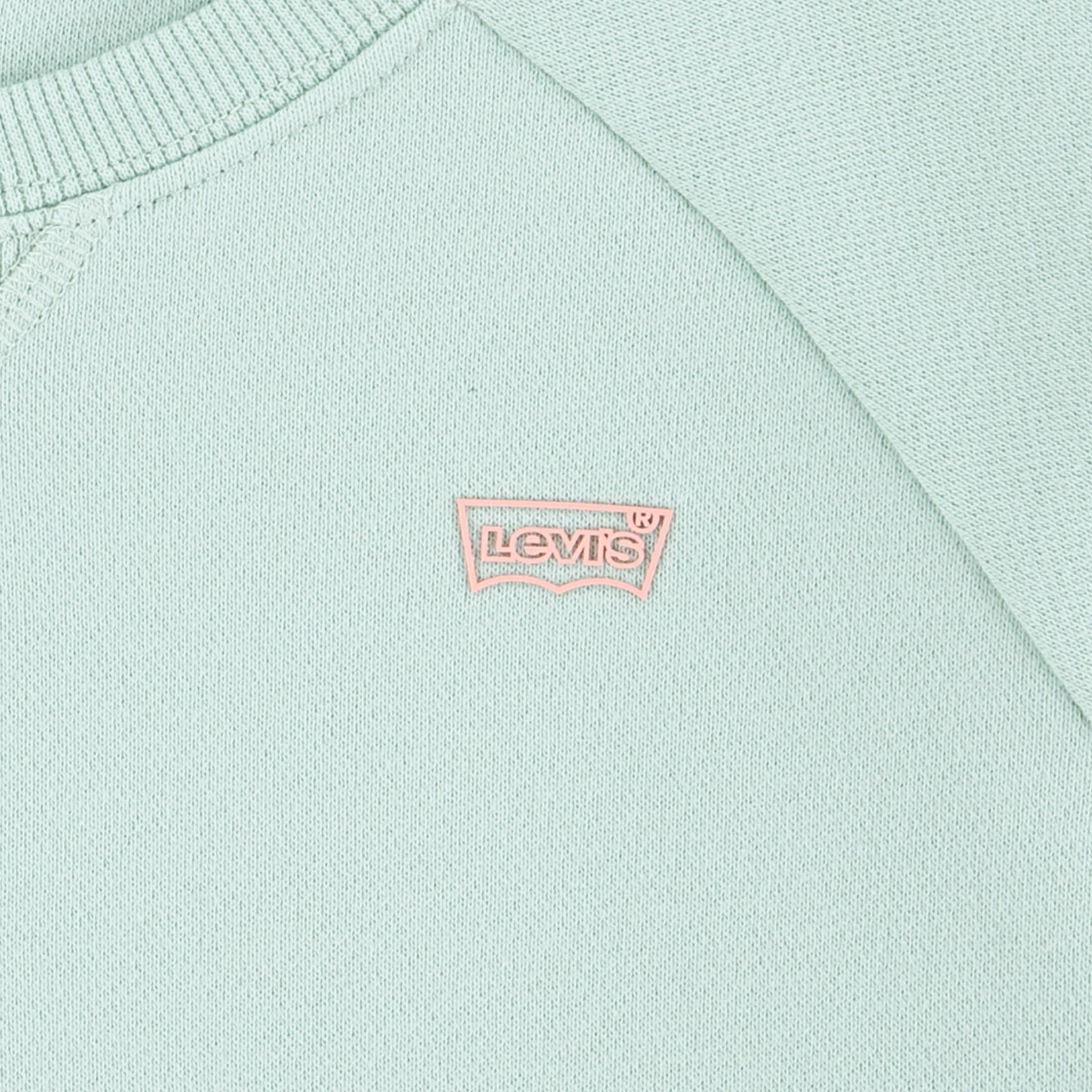 Levi's® Kids Sweatshirt »LVG LEVIS HD SILICONE BATWING«