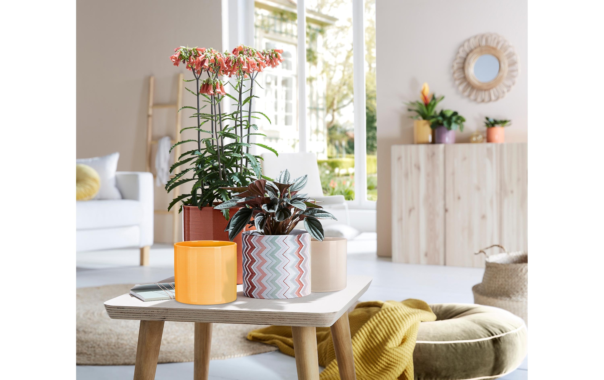 Scheurich Blumentopf »Sesam 23 cm, Créme«