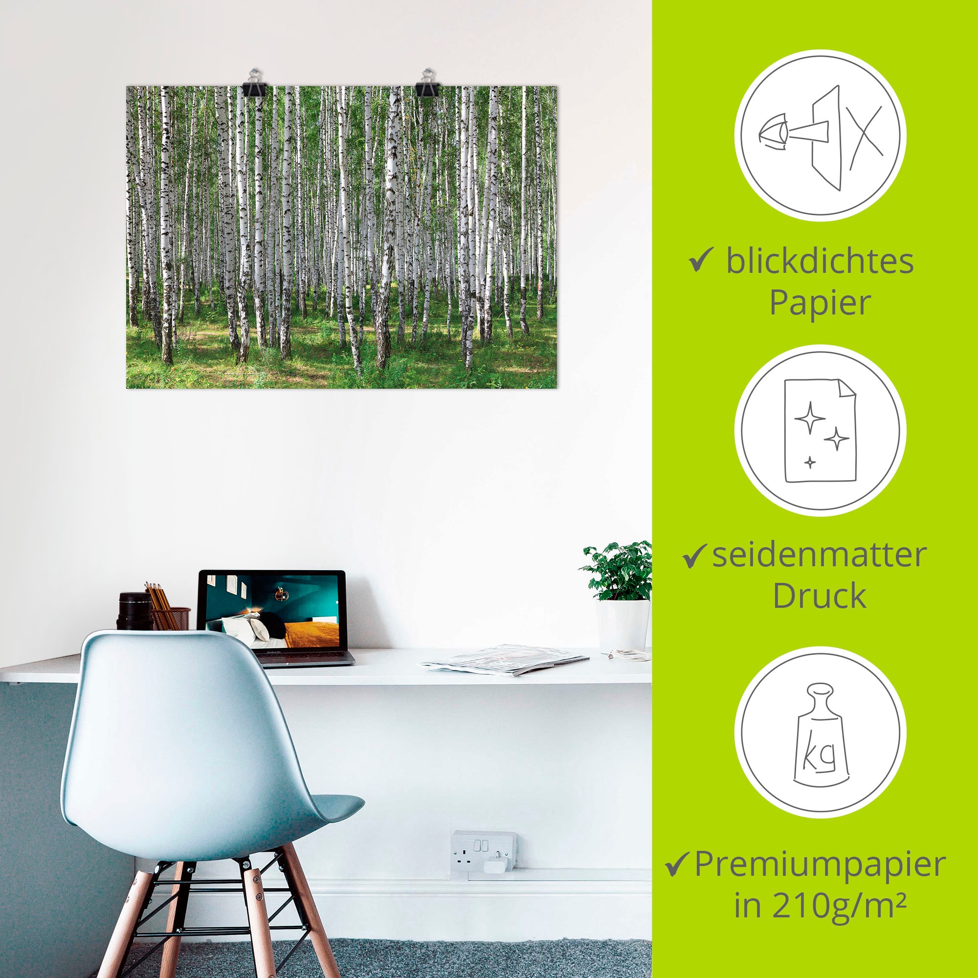 Artland Wandbild »Birkenwald«, Wald, (1 St.), als Poster, Wandaufkleber in verschied. Grössen