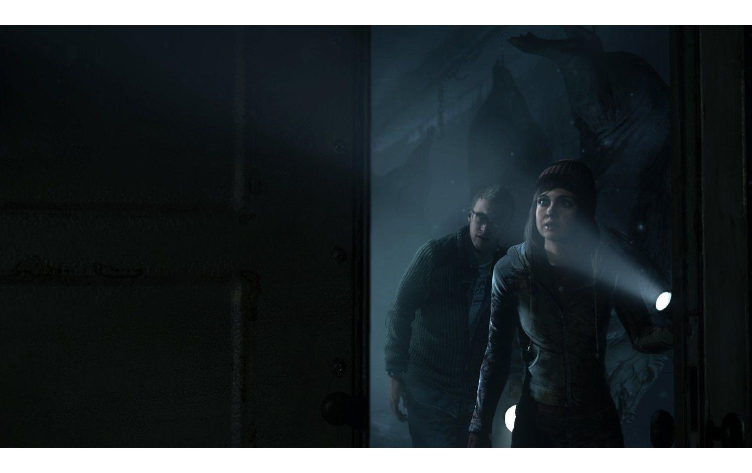 Sony Logiciel de jeu »Until Dawn« PlayStation 4