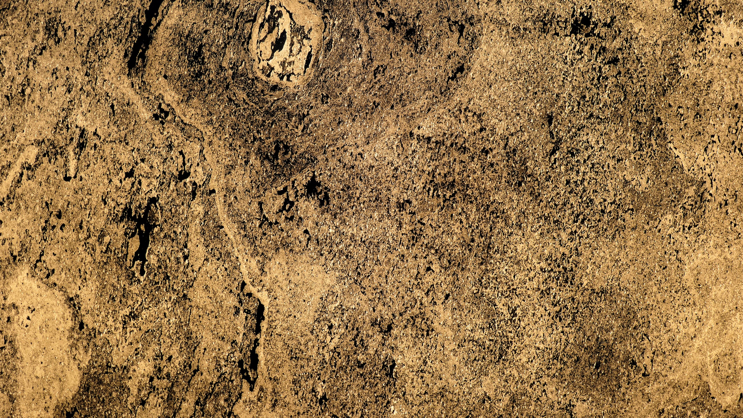 Image of Slate Lite Dekorpaneele »Translucent Negro«, (1 tlg.), aus Echtstein bei Ackermann Versand Schweiz