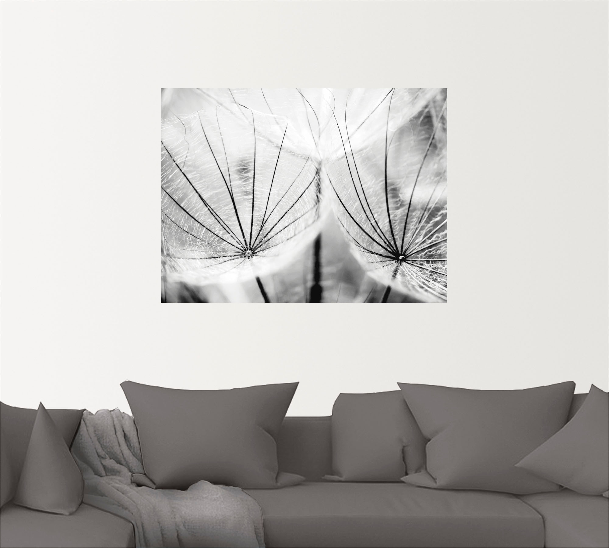 Artland Wandbild »Pusteblume in schwarzweiss«, Blumen, (1 St.), als Alubild, Outdoorbild, Leinwandbild, Poster, Wandaufkleber