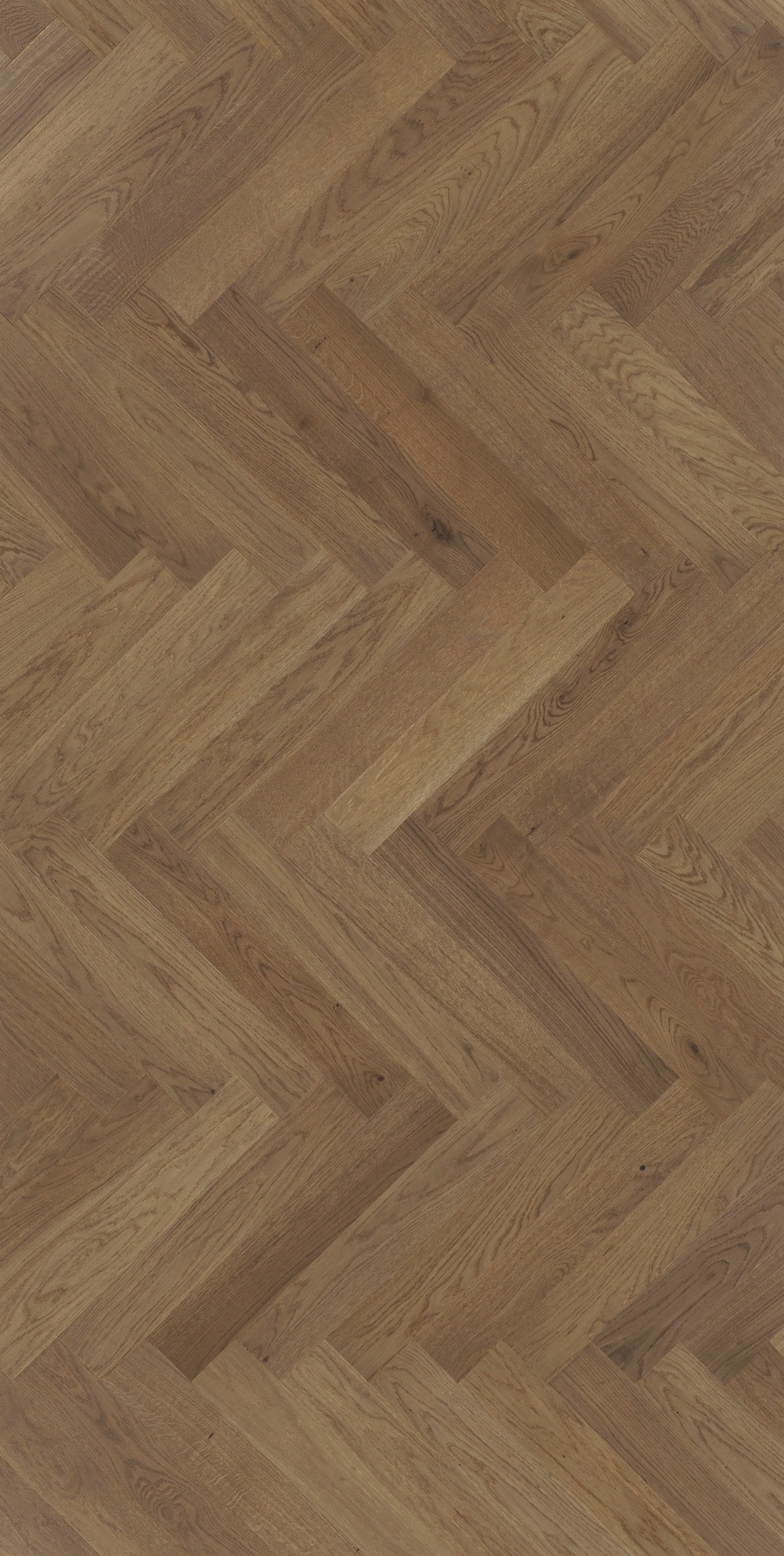 Image of PARADOR Parkett »Trendtime 3 Living - Eiche nougat, lackiert«, (Packung), Klicksystem, 570 x 95 mm, Stärke: 10,5 mm, 1,08 m² bei Ackermann Versand Schweiz
