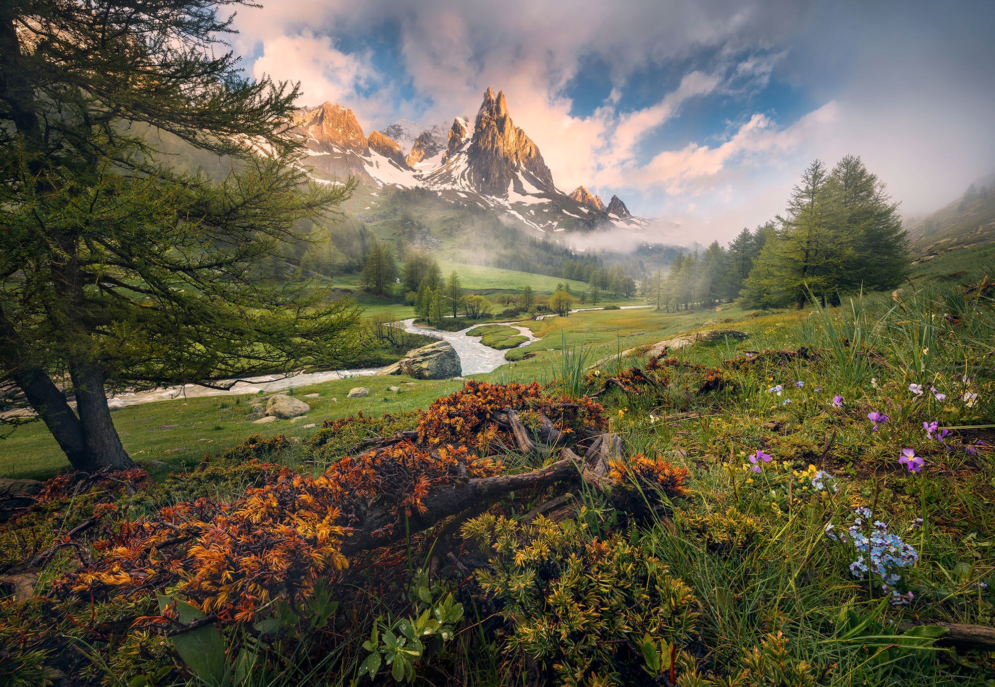 Image of Komar Fototapete "Morning Walk - Grösse 368 x 254 cm" bedruckt glatt Wohnzimmer, Schlafzimmer